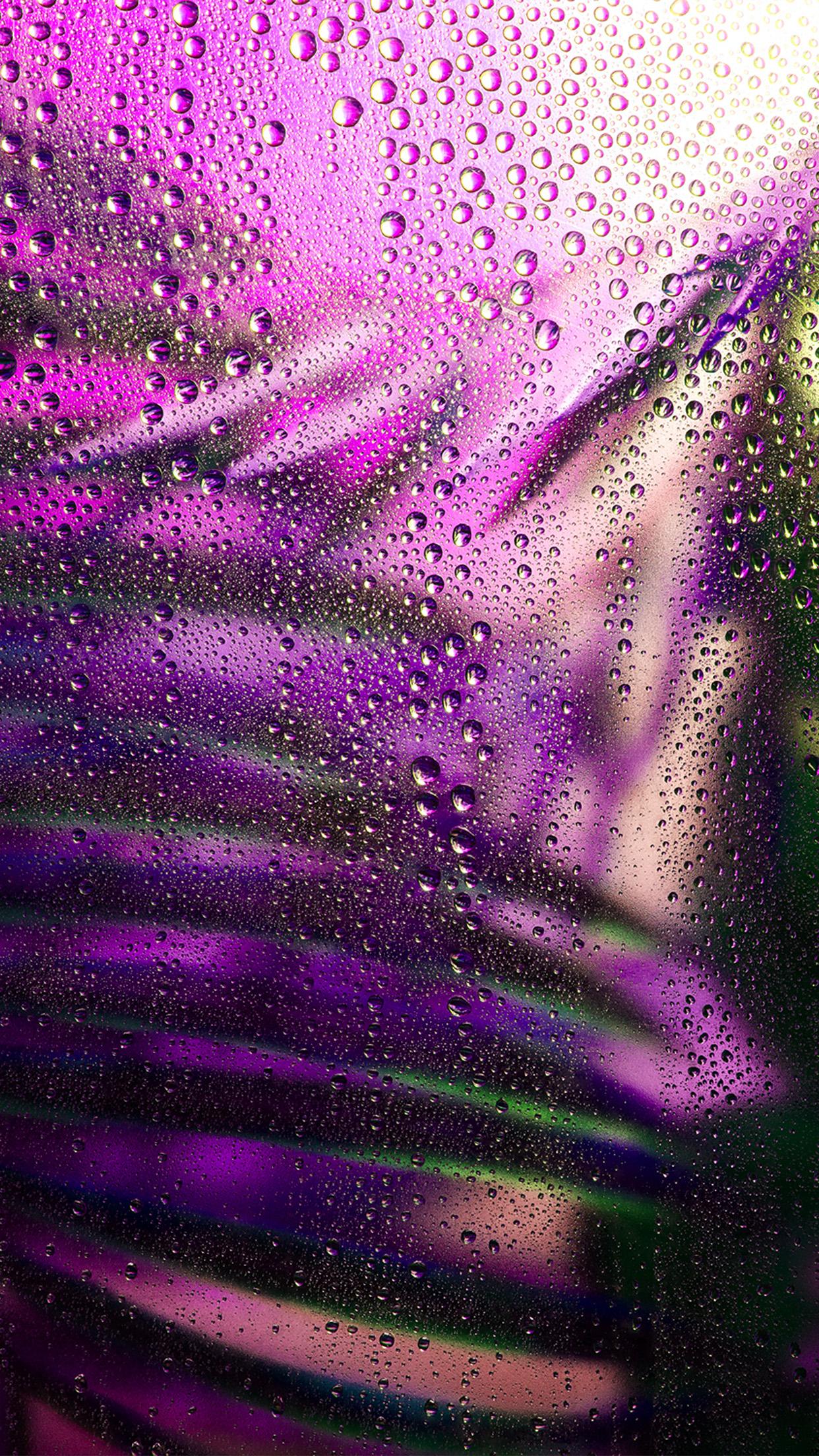 Exotic Mobile Wallpapers Top Free Exotic Mobile Backgrounds