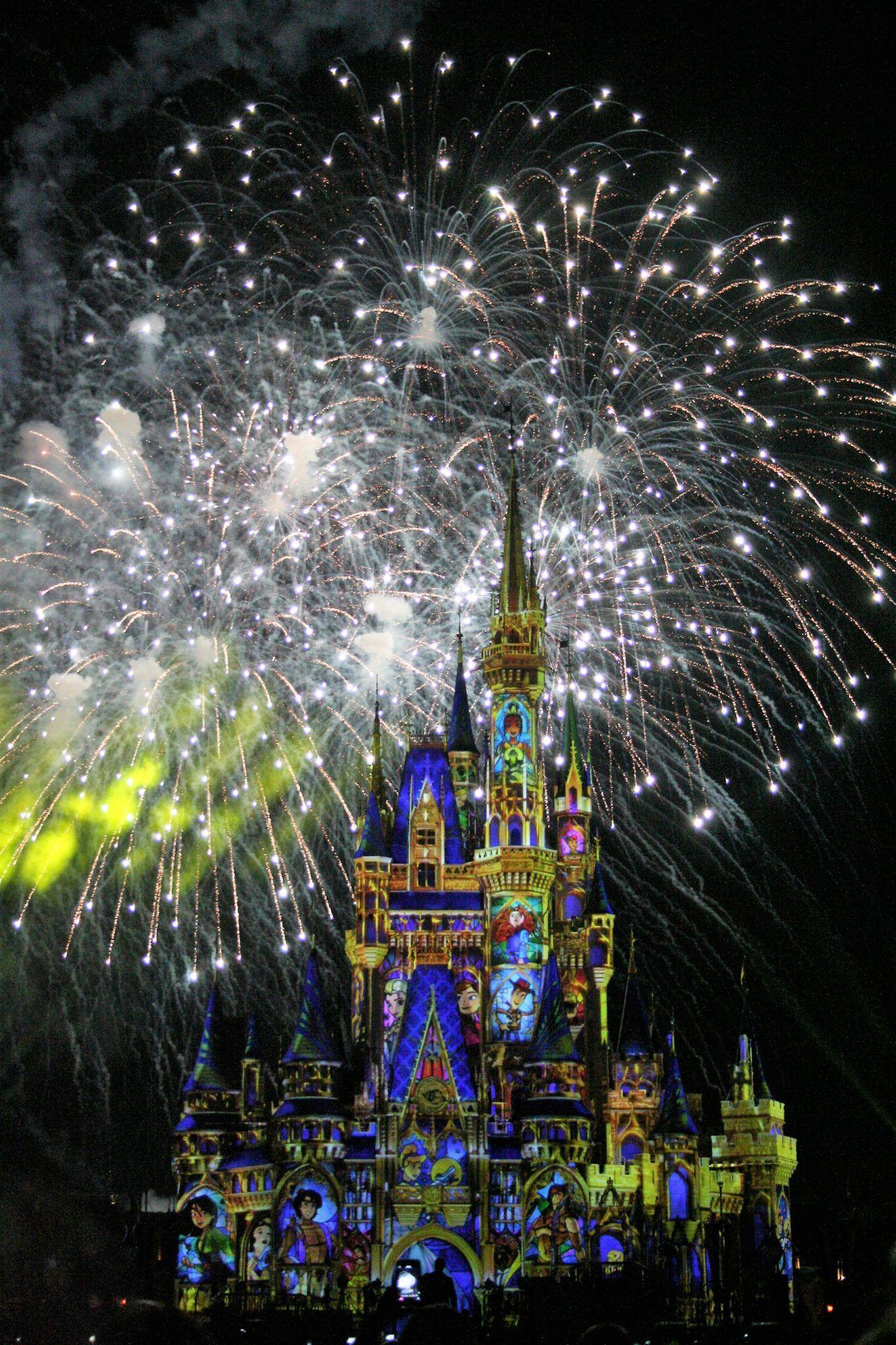 1365x2048 Happily Ever After fireworks. Disney fireworks, Magic kingdom fireworks, Disney world attractions