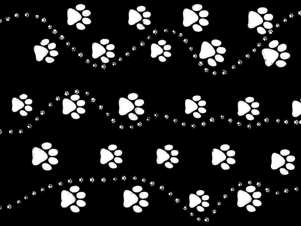 1024x768 Paw Wallpaper
