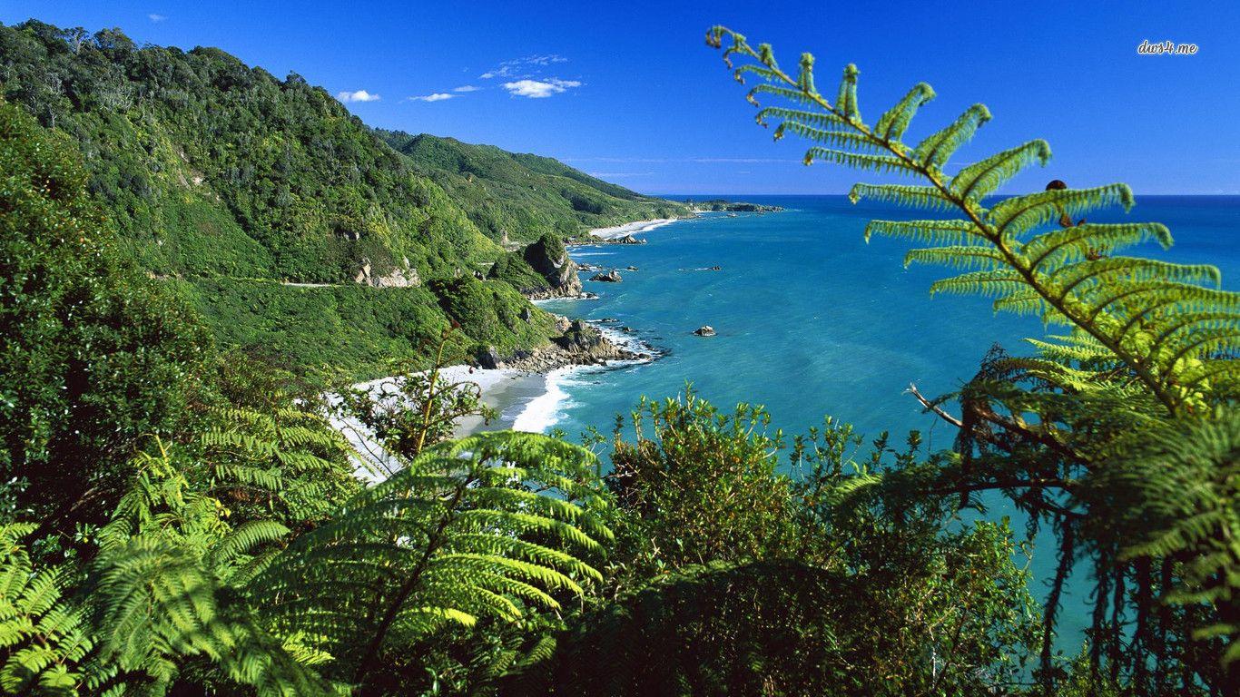 1366x768 Paparoa National Park, New Zealand HD wallpaper. Desktop wallpaper, New zealand image, Widescreen wallpaper