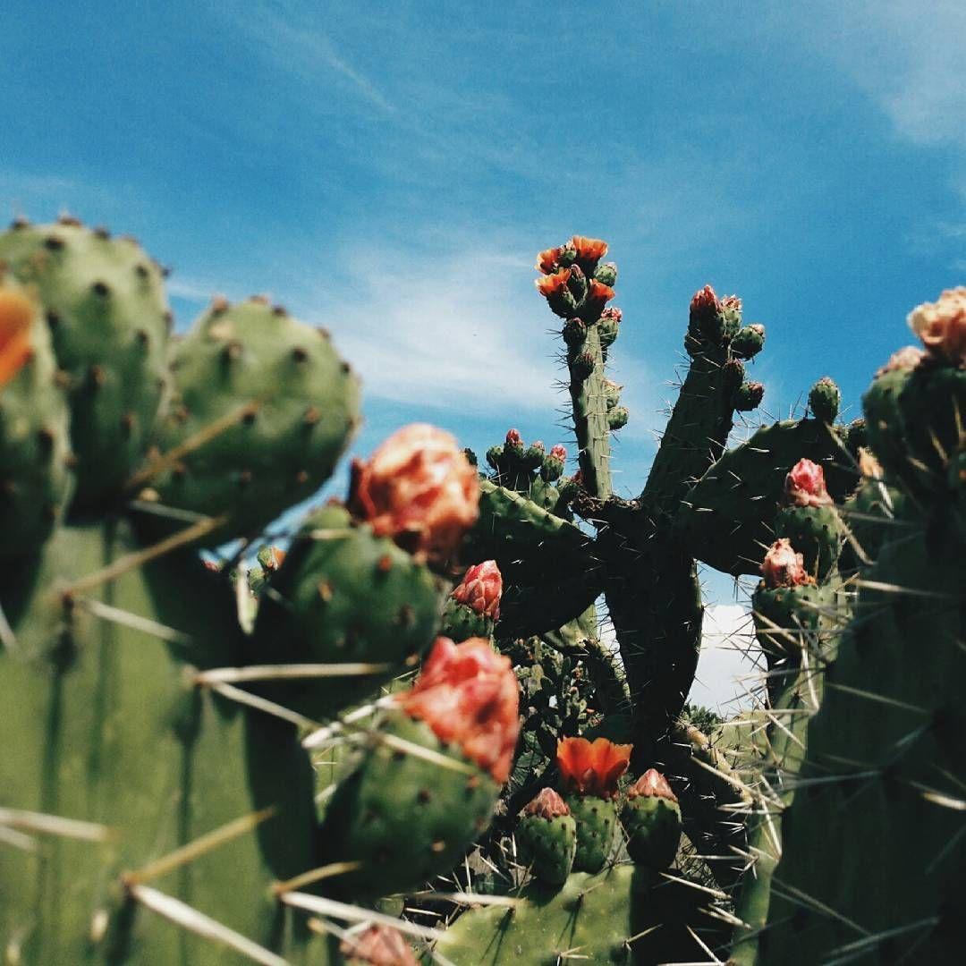 1080x1080 Mexico Aesthetic Wallpaper