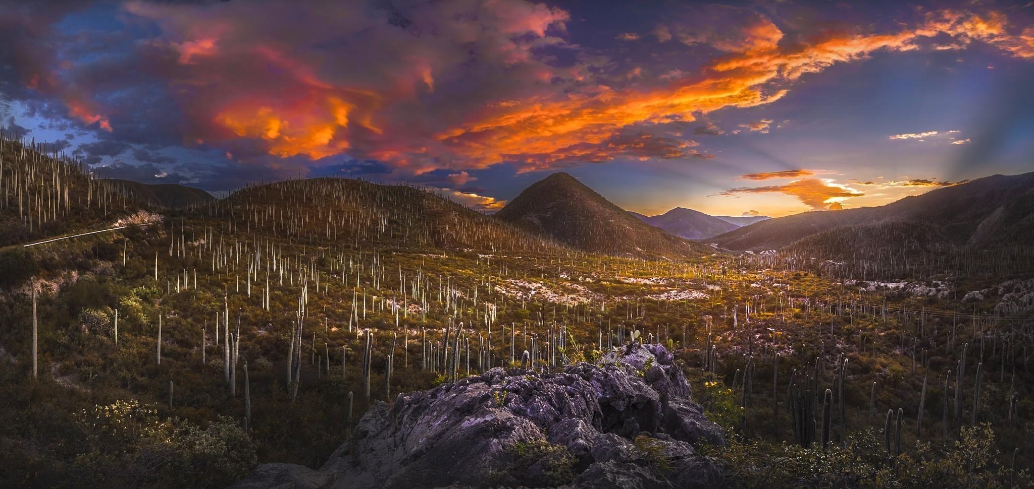 2048x970 nature, Landscape, Sunset, Desert, Valley, Hill, Clouds, Sky, Sunlight, Cactus, Shrubs, Mexico Wallpaper HD / Desktop and Mobile Background