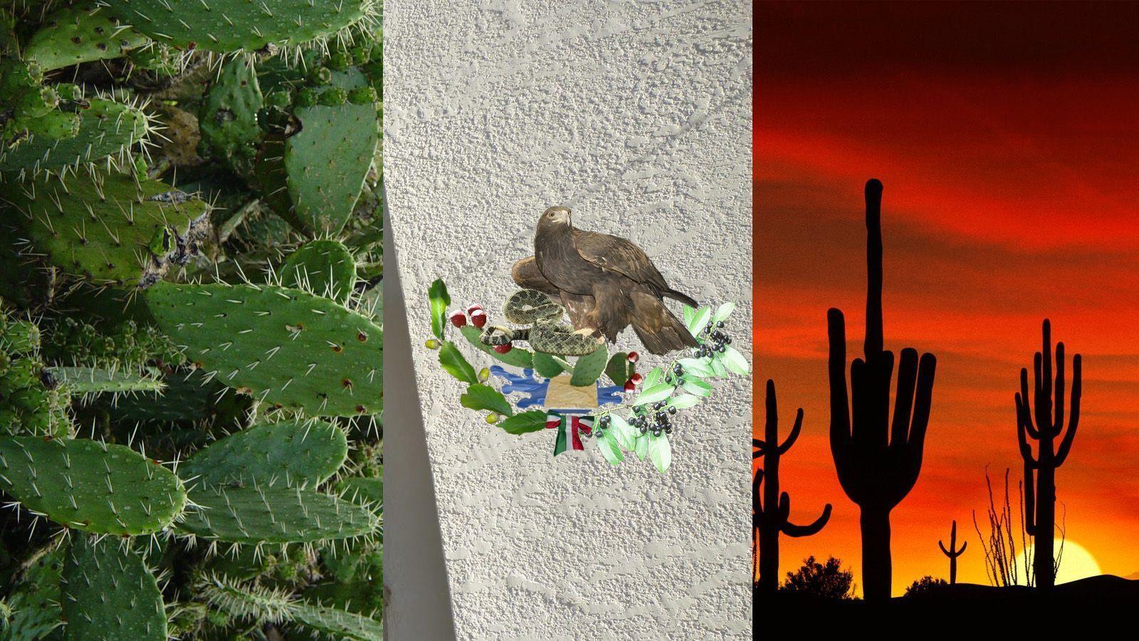 1600x900 Cool Mexican Background