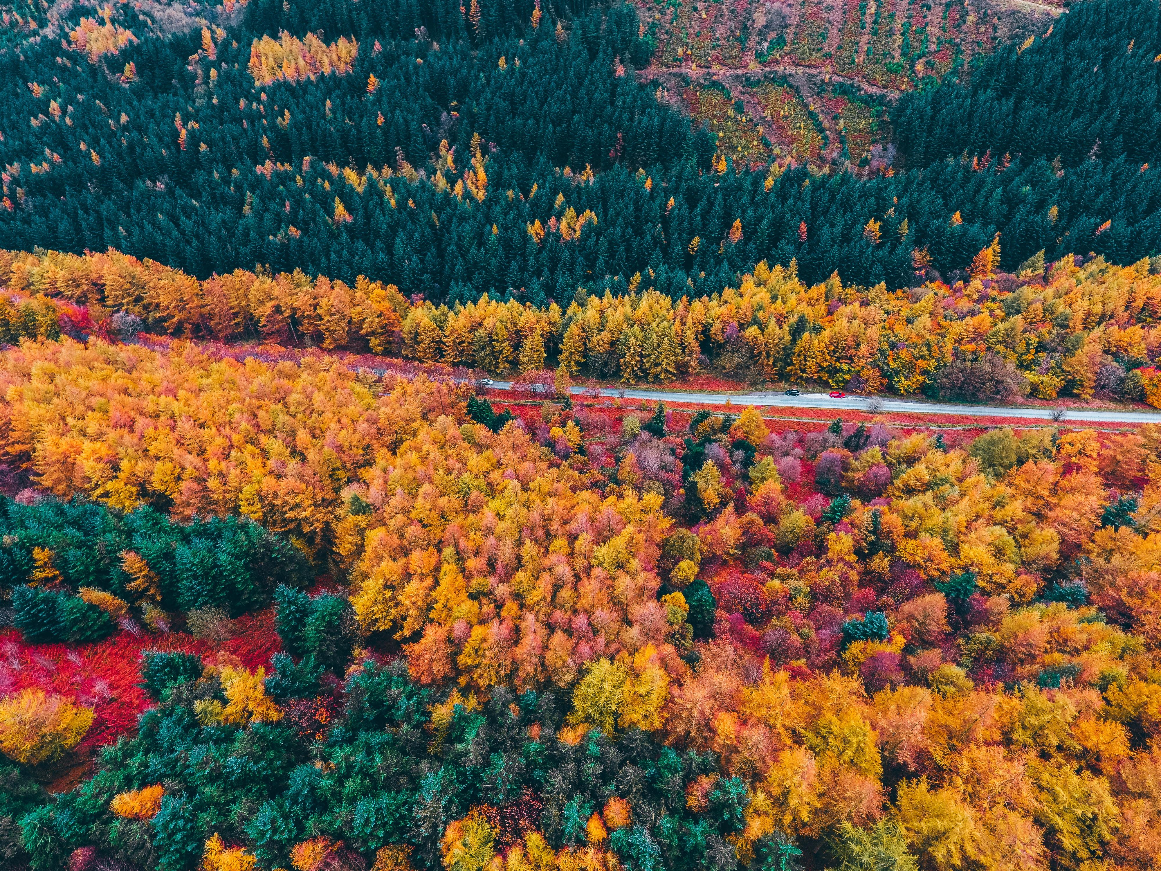 4000x3000 Autumn Forest Wallpaper 4K, Aerial view, Fall, Seasons, Colourful Trees, Nature