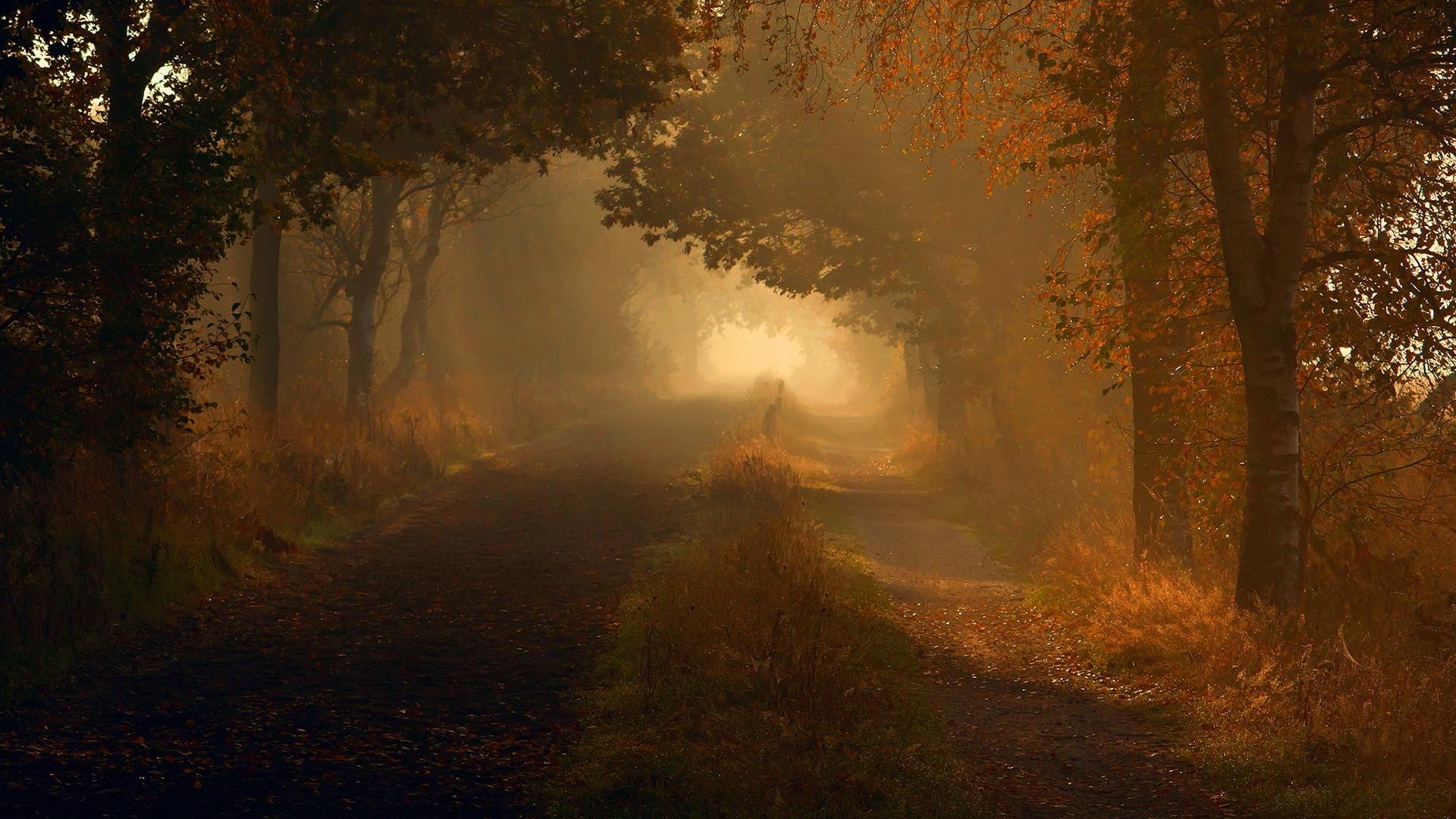 1920x1080 Autumn Wallpaper HD let you feel the magic of Fall