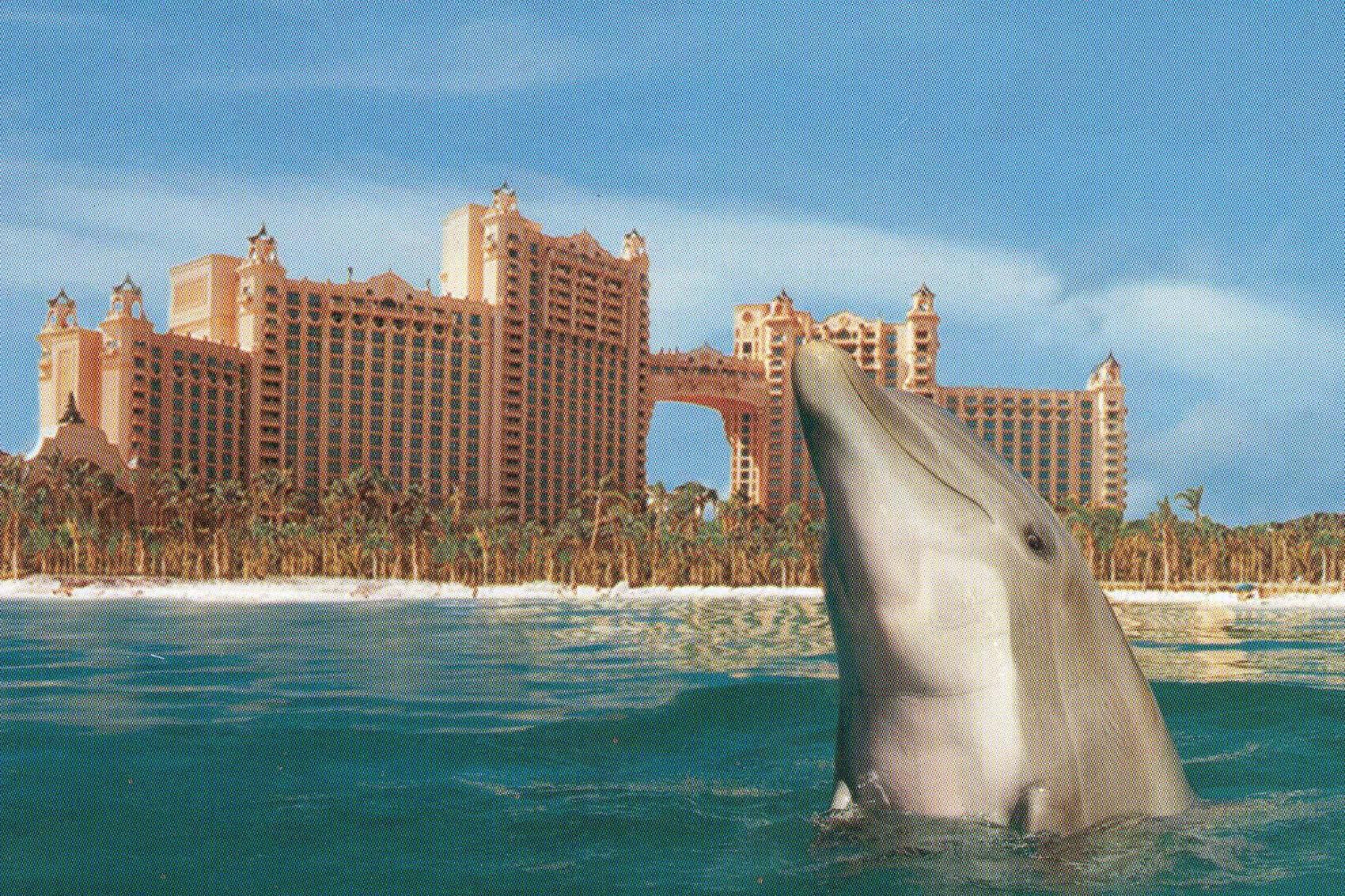 Atlantis Bahamas Wallpapers - Top Free Atlantis Bahamas Backgrounds ...