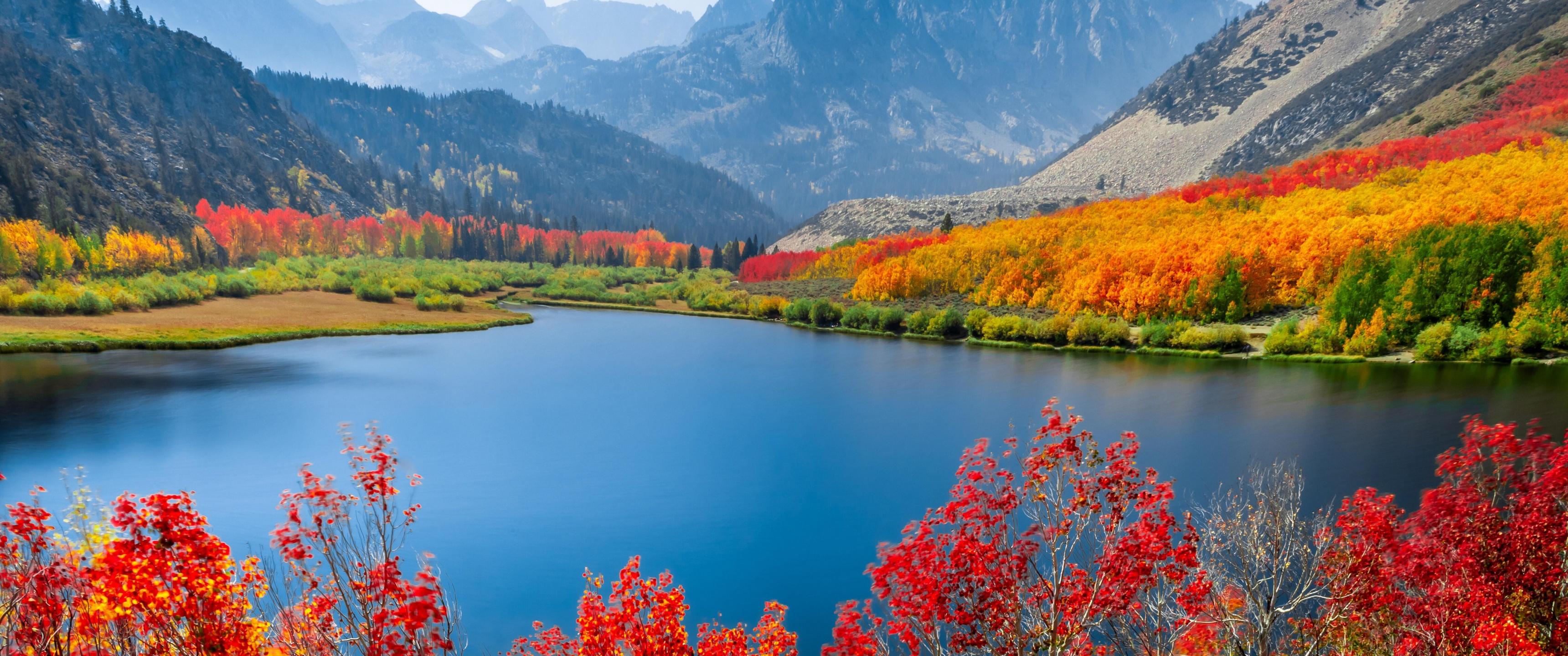 3440x1440 Autumn trees Wallpaper 4K, Lake, Mountain range, Day time, Landscape, Nature