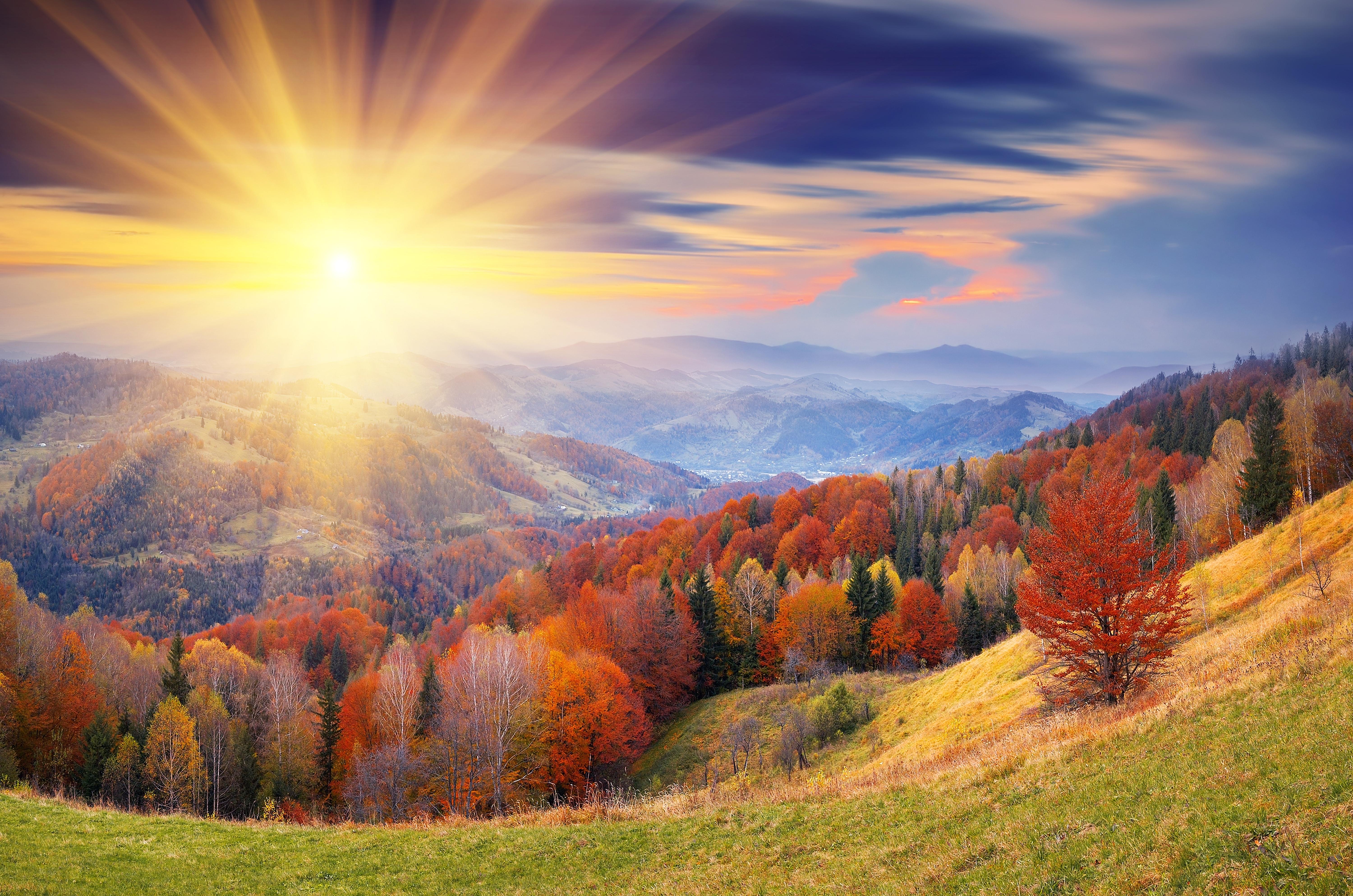 6000x3974 4K Ultra HD Fall Wallpaper and Background Image