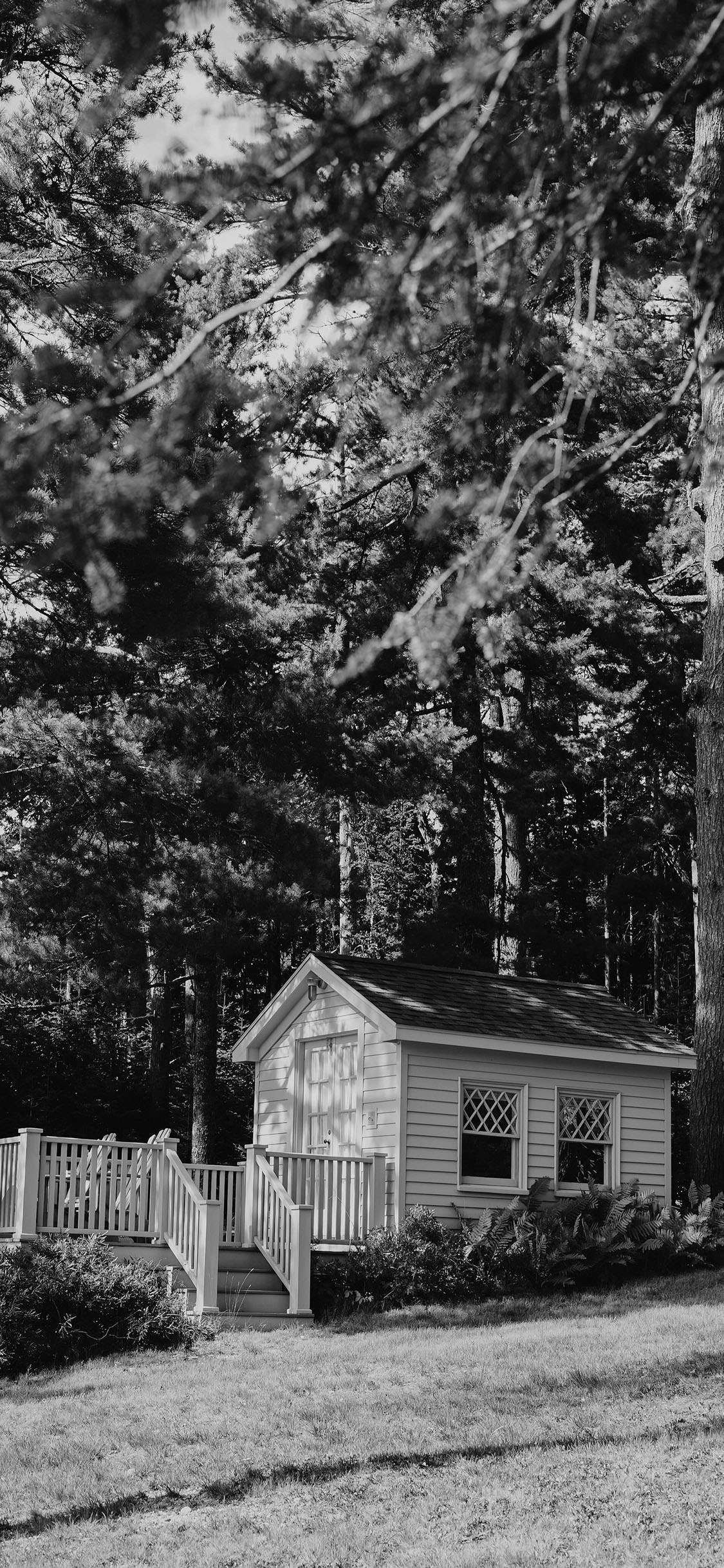 1125x2436 Black And White iPhone HD Wallpaper
