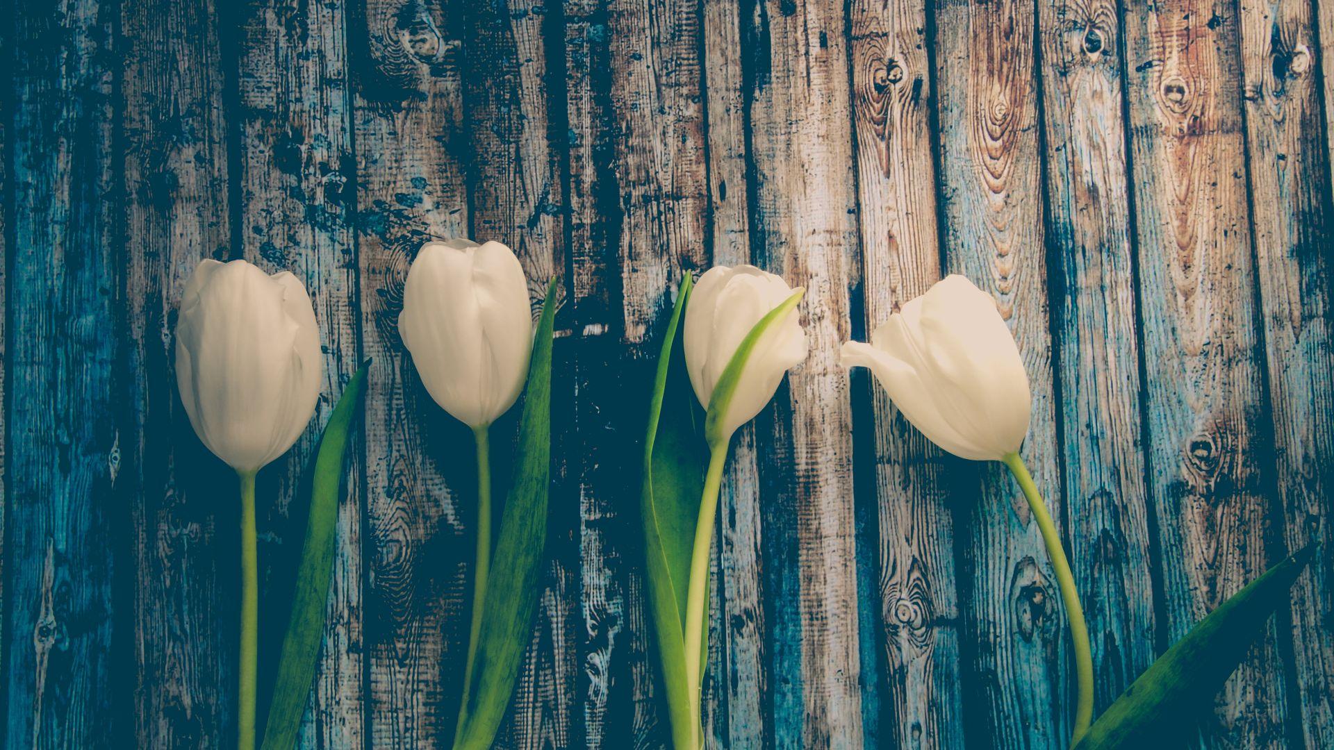 1920x1080 Desktop Wallpaper White Tulips, Wooden Board, HD Image, Picture, Background, Ae98c4