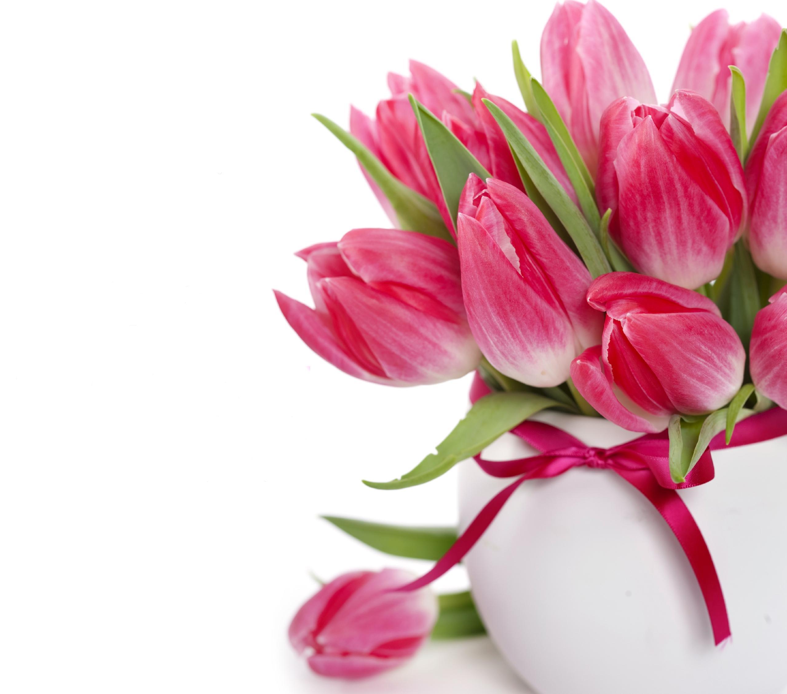2560x2258 Tulips Wallpaper