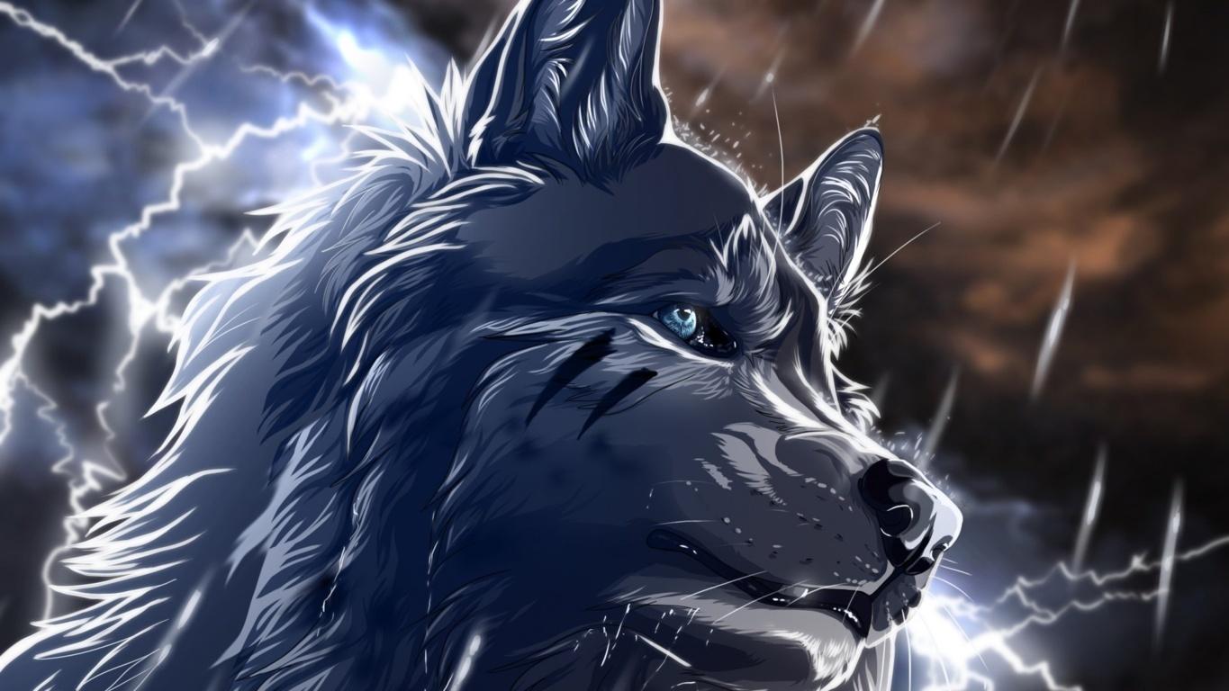 1365x768 Wolf Wallpaper Wolf Background