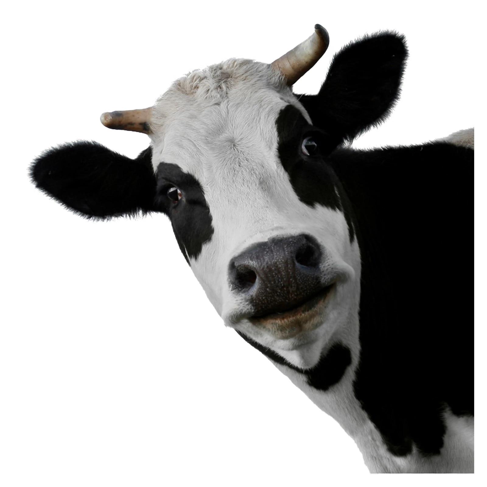 1600x1600 3D Cow Clings Wall Stickers Black White Cow Gum Self adhesive Wall Paste Kids Room Kindergarten Nursery Wallpaper Decoration. Wall Stickers