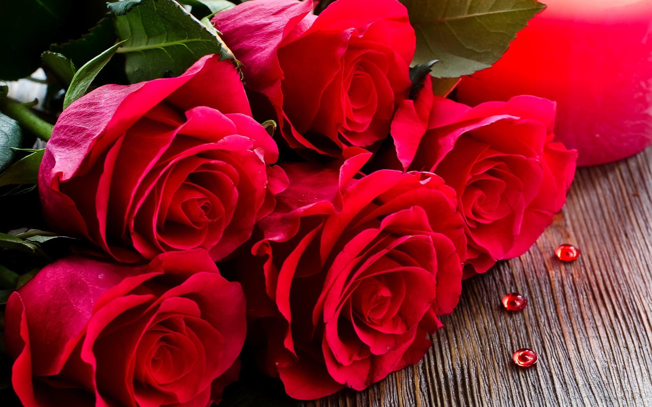 2560x1600 Bunch Of Red Roses