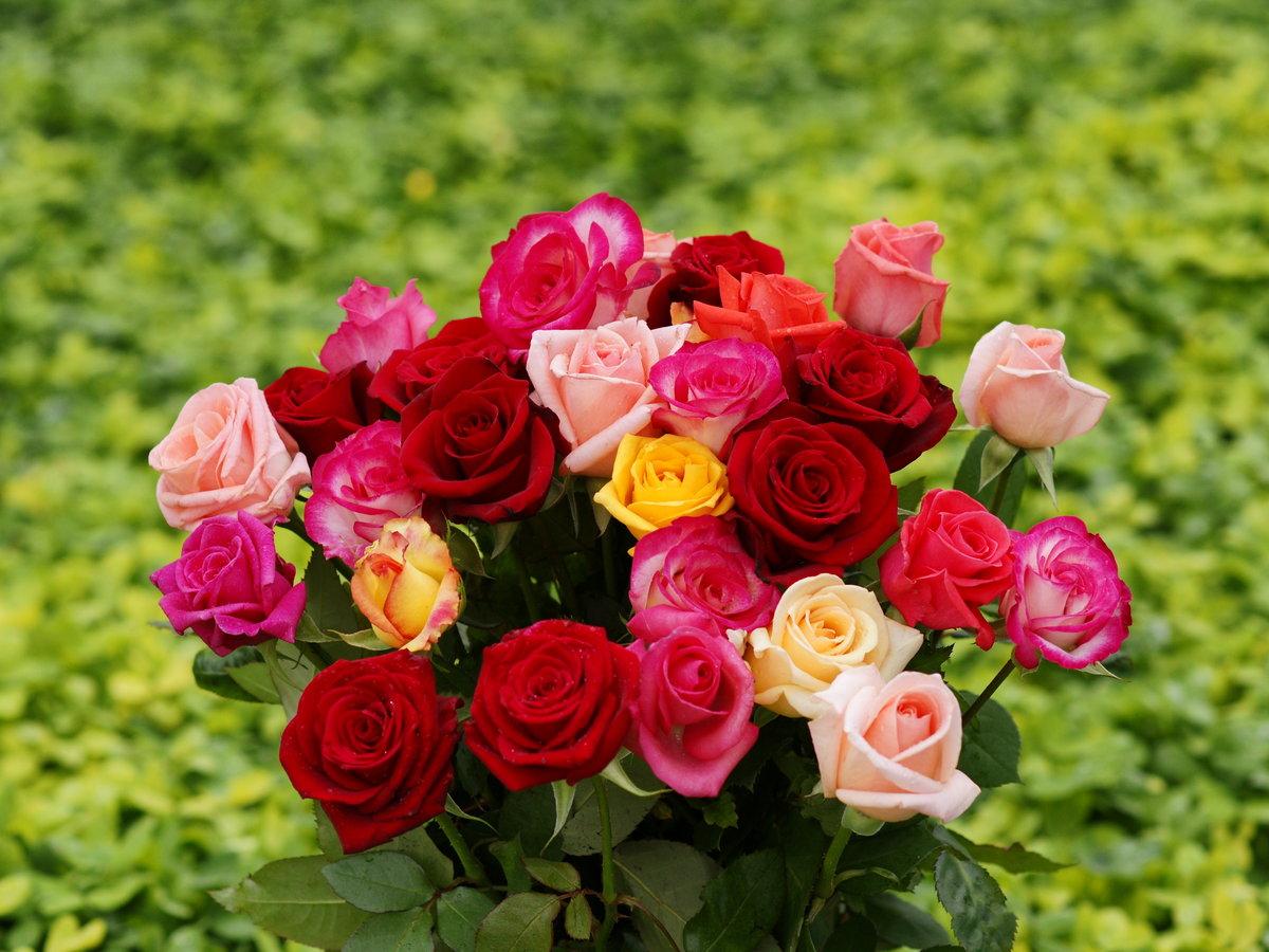 Red Rose Bouquet Wallpapers - Top Free Red Rose Bouquet Backgrounds ...