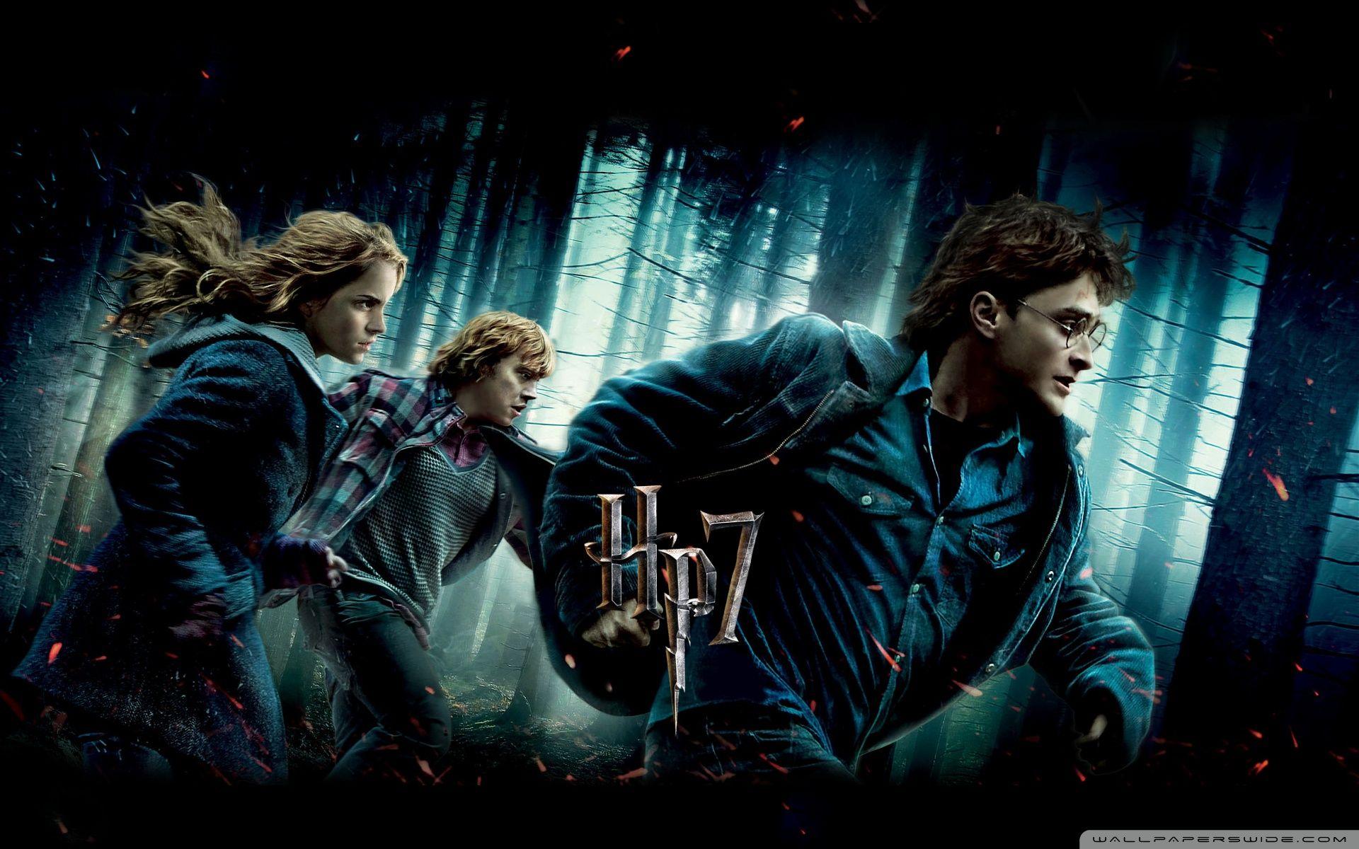 1920x1200 h3rmioneg hình ảnh Harry Potter HD hình nền and background các bức ảnh