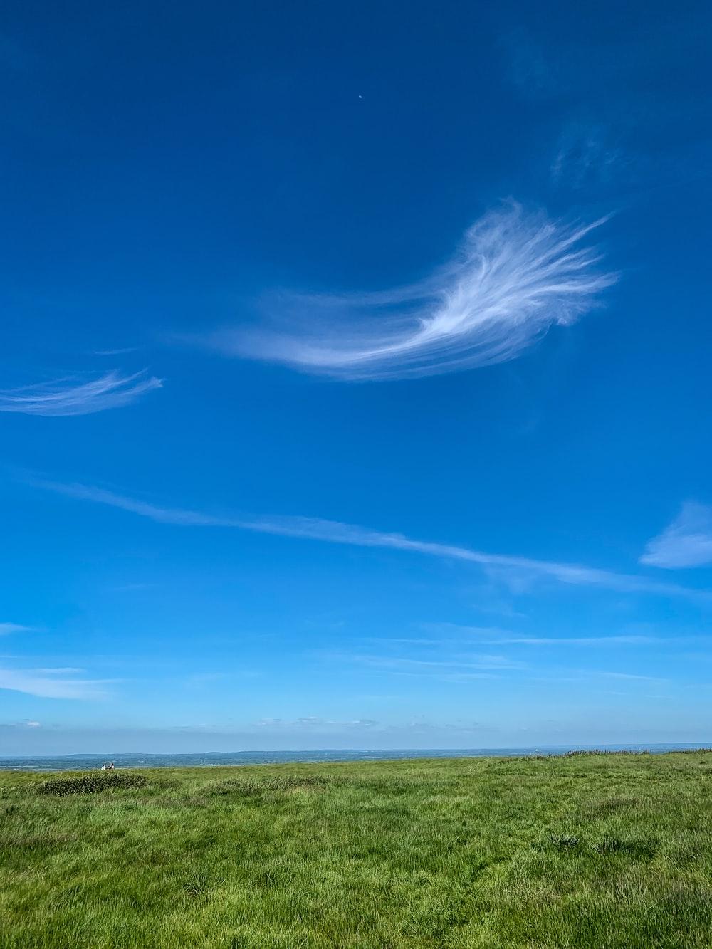 1000x1333 Grass And Sky Picture. Download Free Image