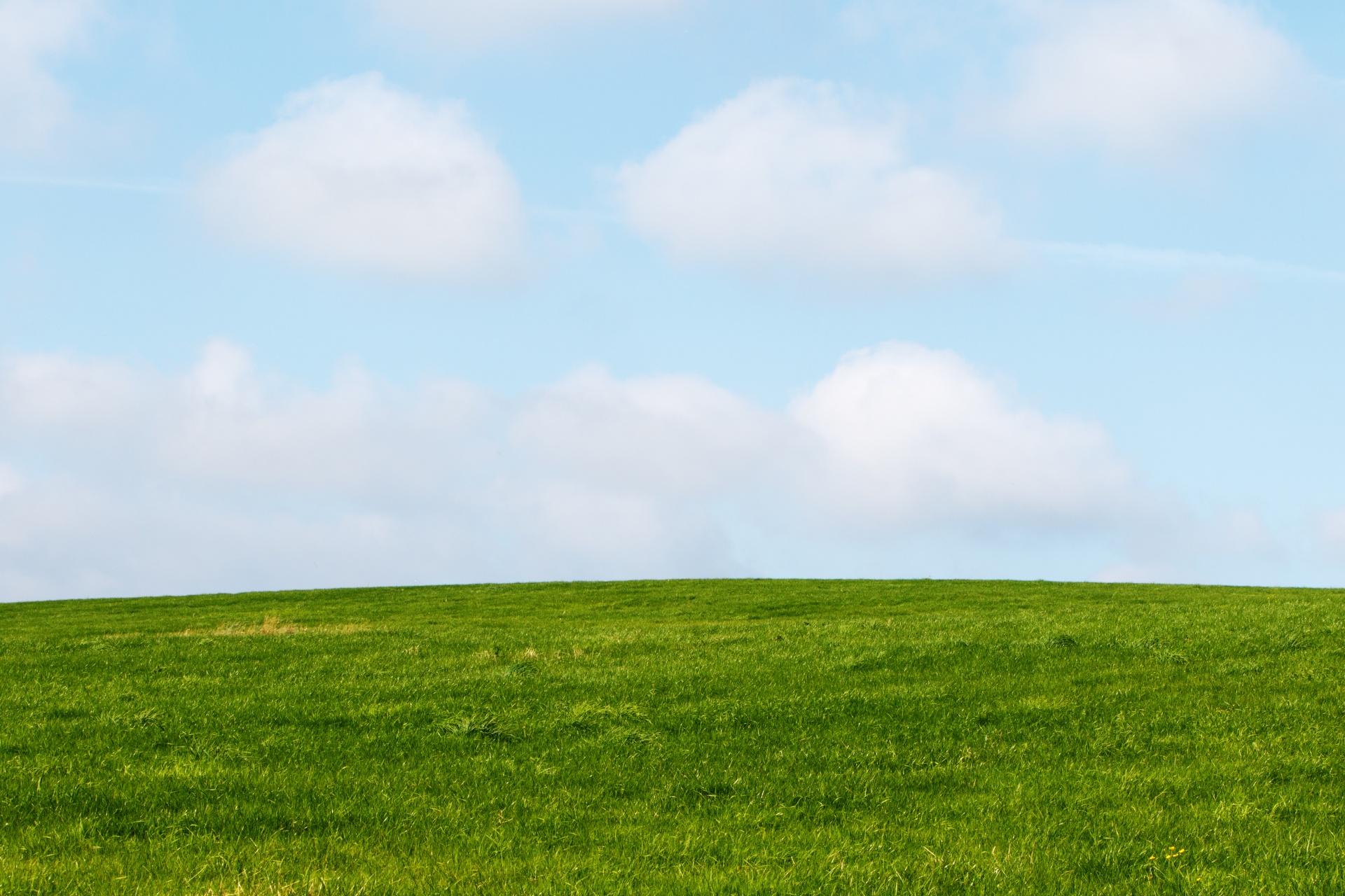 1920x1280 Download free photo of Grass, green, sky, blue, background