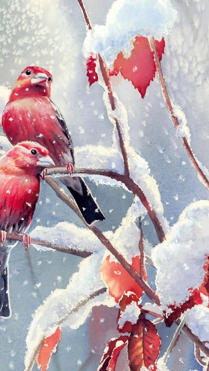720x1280 Red Birds Snow Branches Leaves Htc one x wallpaper