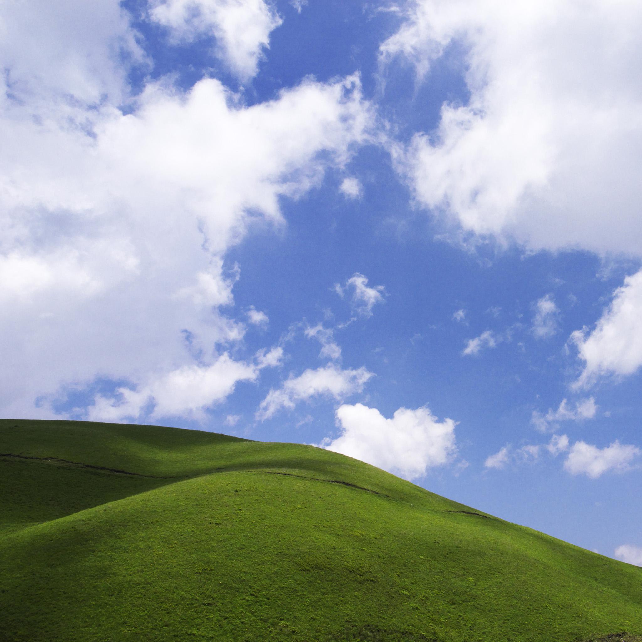 2048x2048 Green Grass, Blue Sky iPad Wallpaper