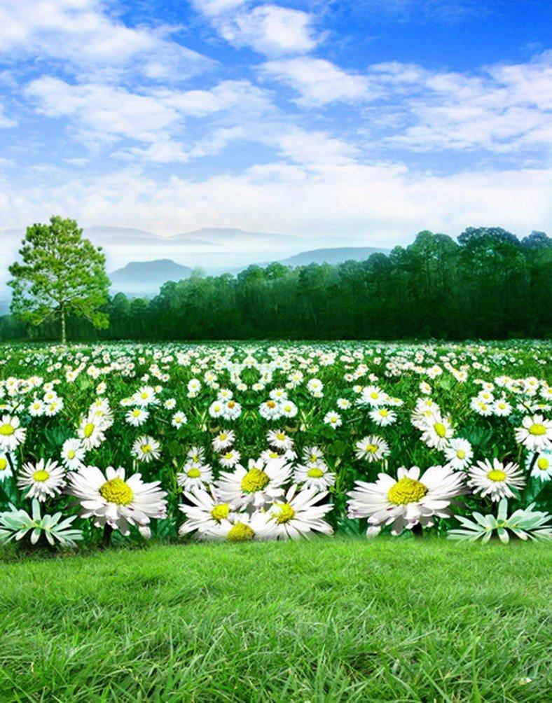 788x1004 Grass And Sky Background Wallpaper Green Field And Blue Sky