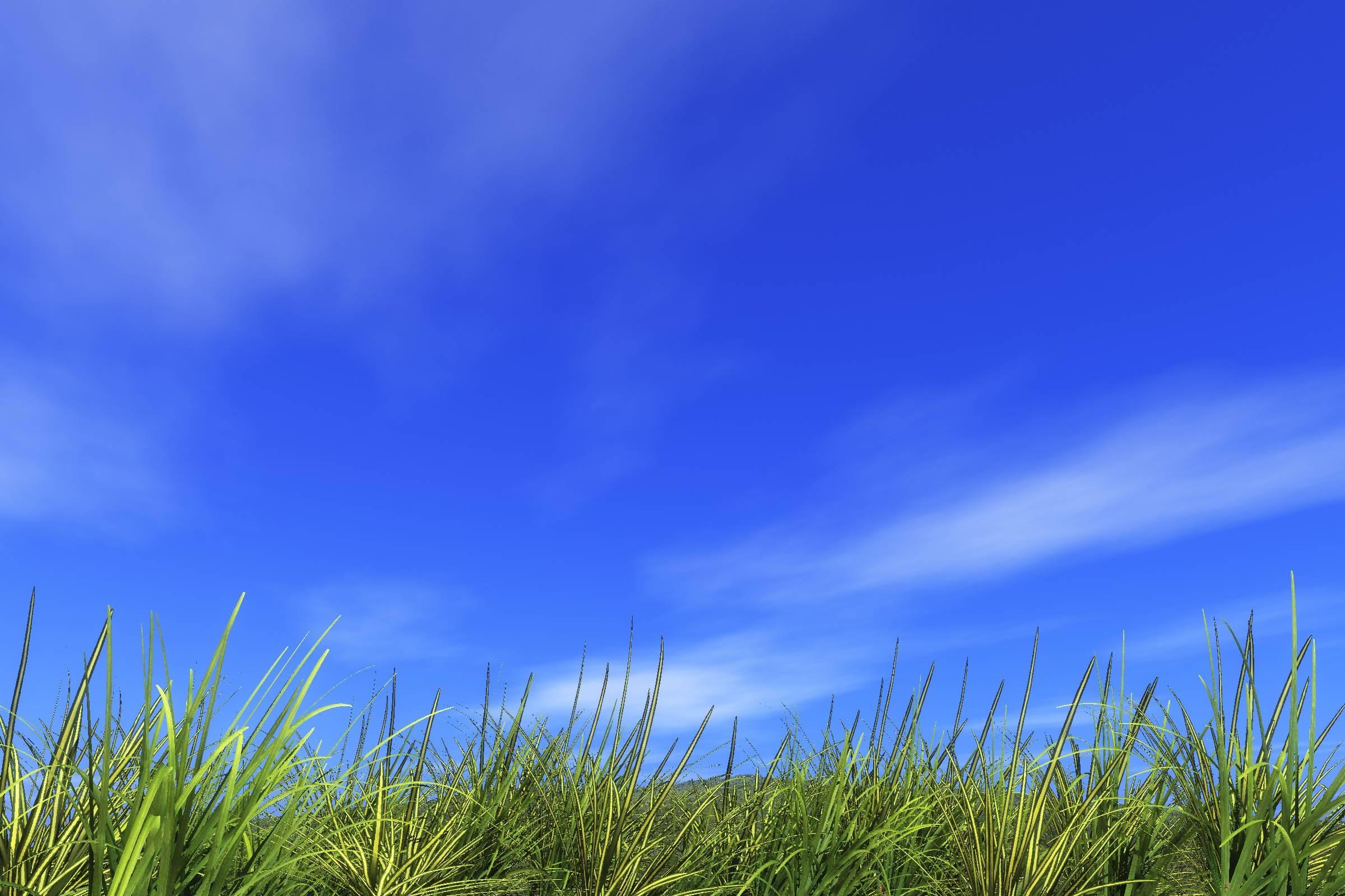 Green Grass and Blue Sky Wallpapers - Top Free Green Grass and Blue Sky ...