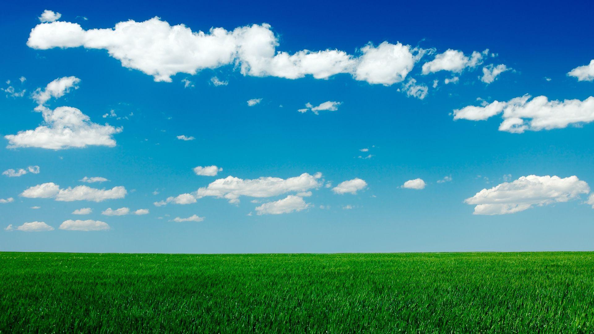 1920x1080 Field Sky Grass Wallpaper