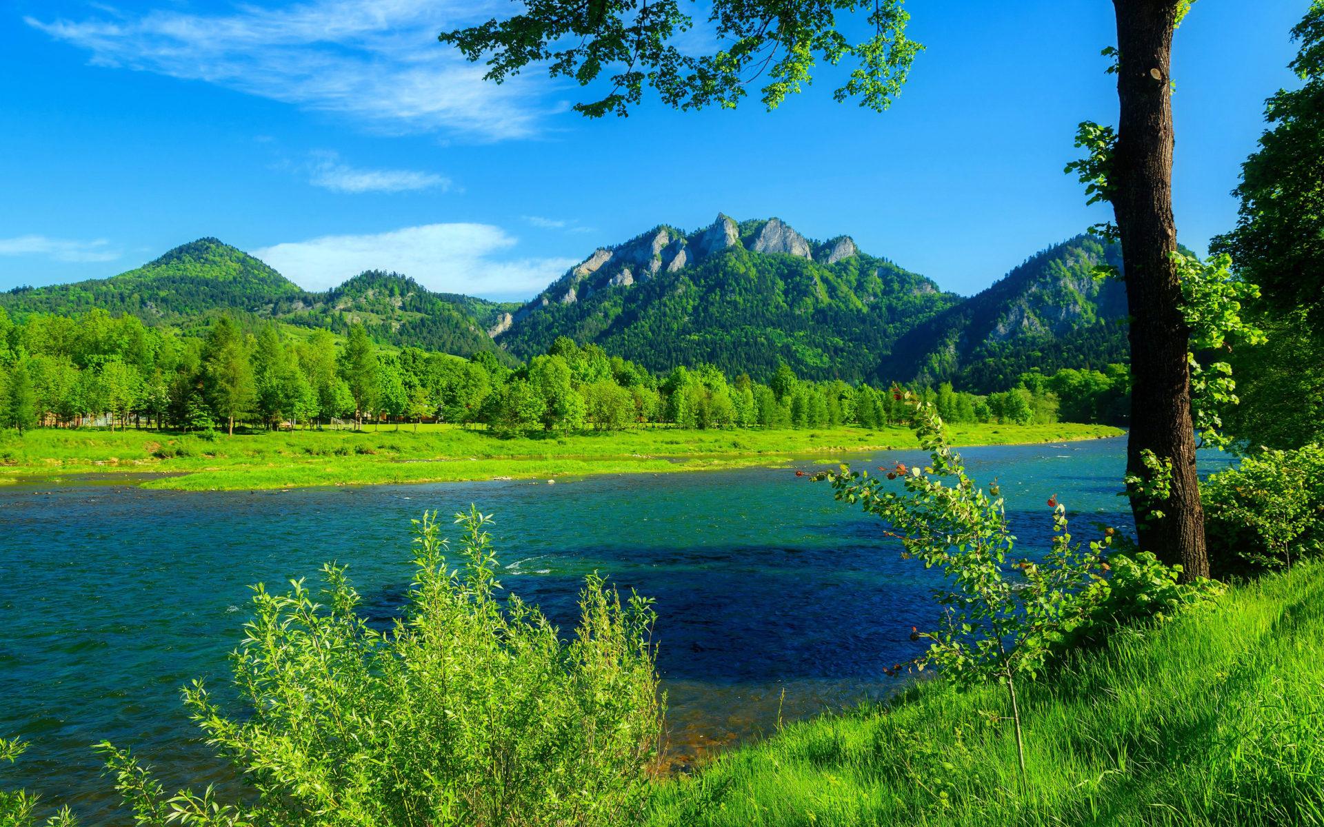 1920x1200 River Dunajec Poland Summer Landscape Mountains With Forest Green Grass, Blue Sky Desktop Wallpaper HD :
