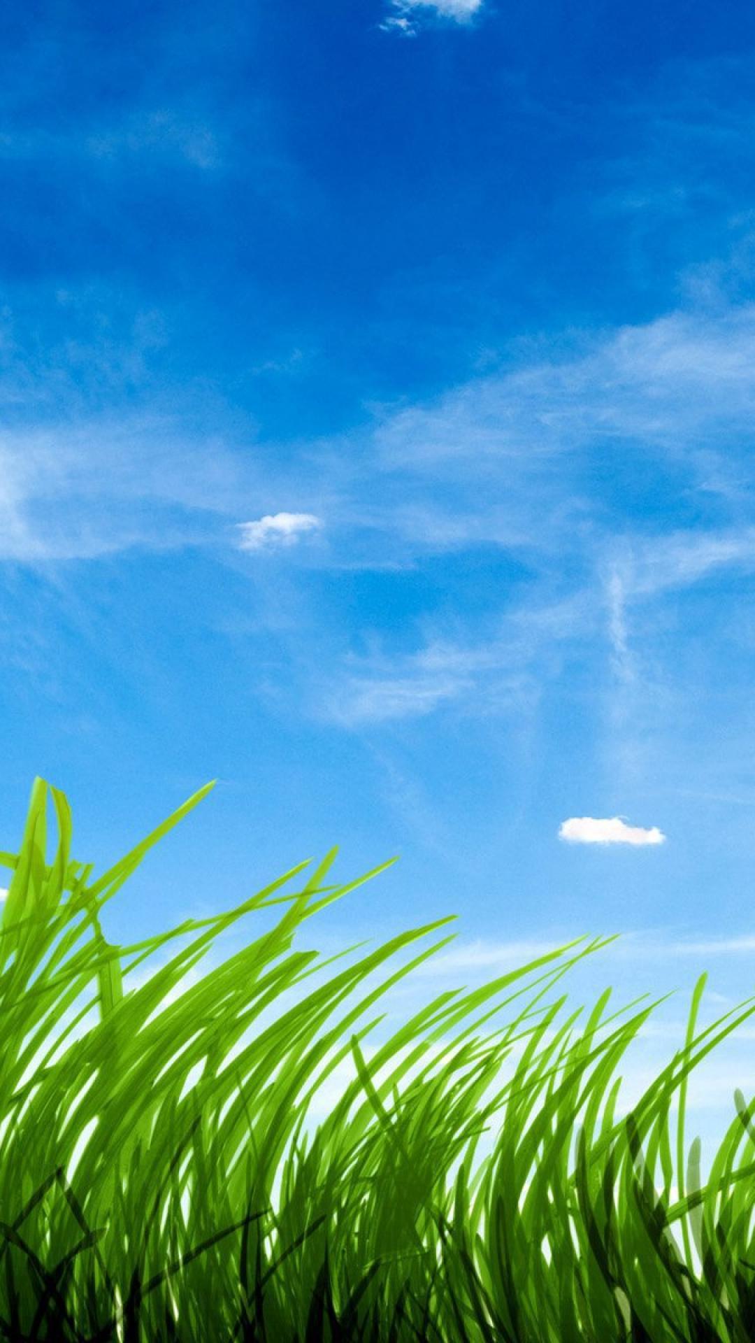 Воздух для телефона. Трава и небо. Зеленая трава. Голубое небо и трава. Небо зелень.