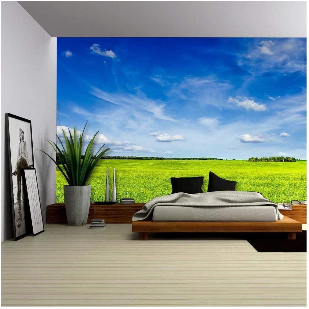 1012x1012 Wall26 Summer Background Grass Field Meadow Scenery Lanscape With Blue Sky Wall Mural. Self Adhesive Large Wallpaper Inches