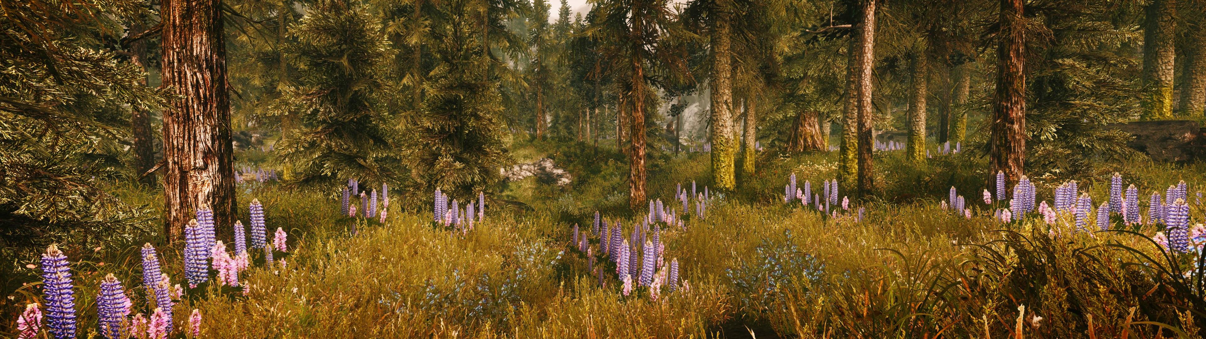 3840x1080 The Elder Scrolls V Skyrim Multiple Display Landscape Grass Wallpaper:3840x1080