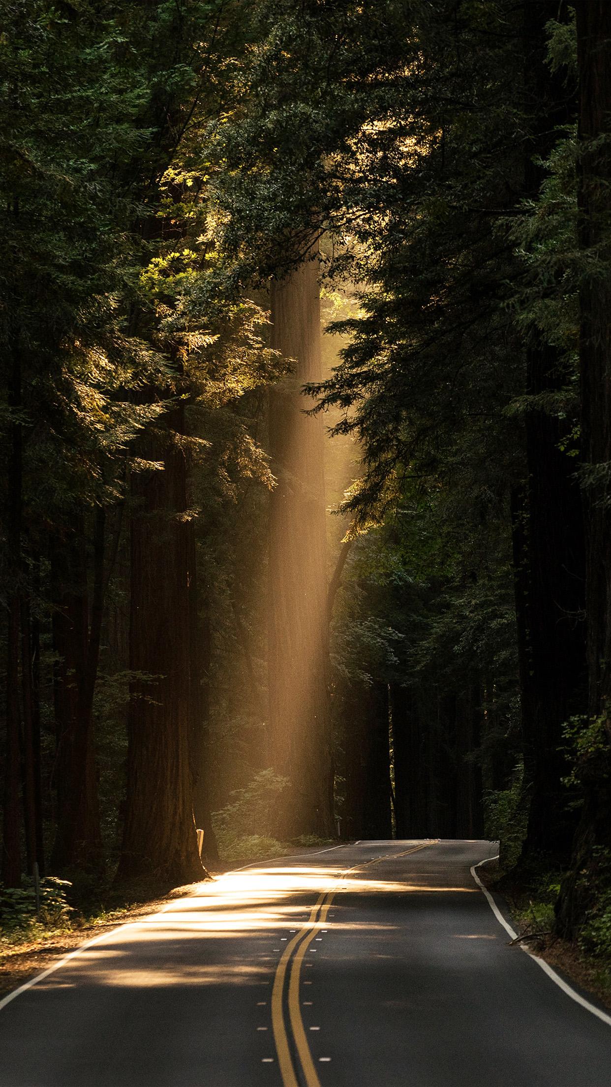 1242x2208 iPhone Road Wallpaper HD