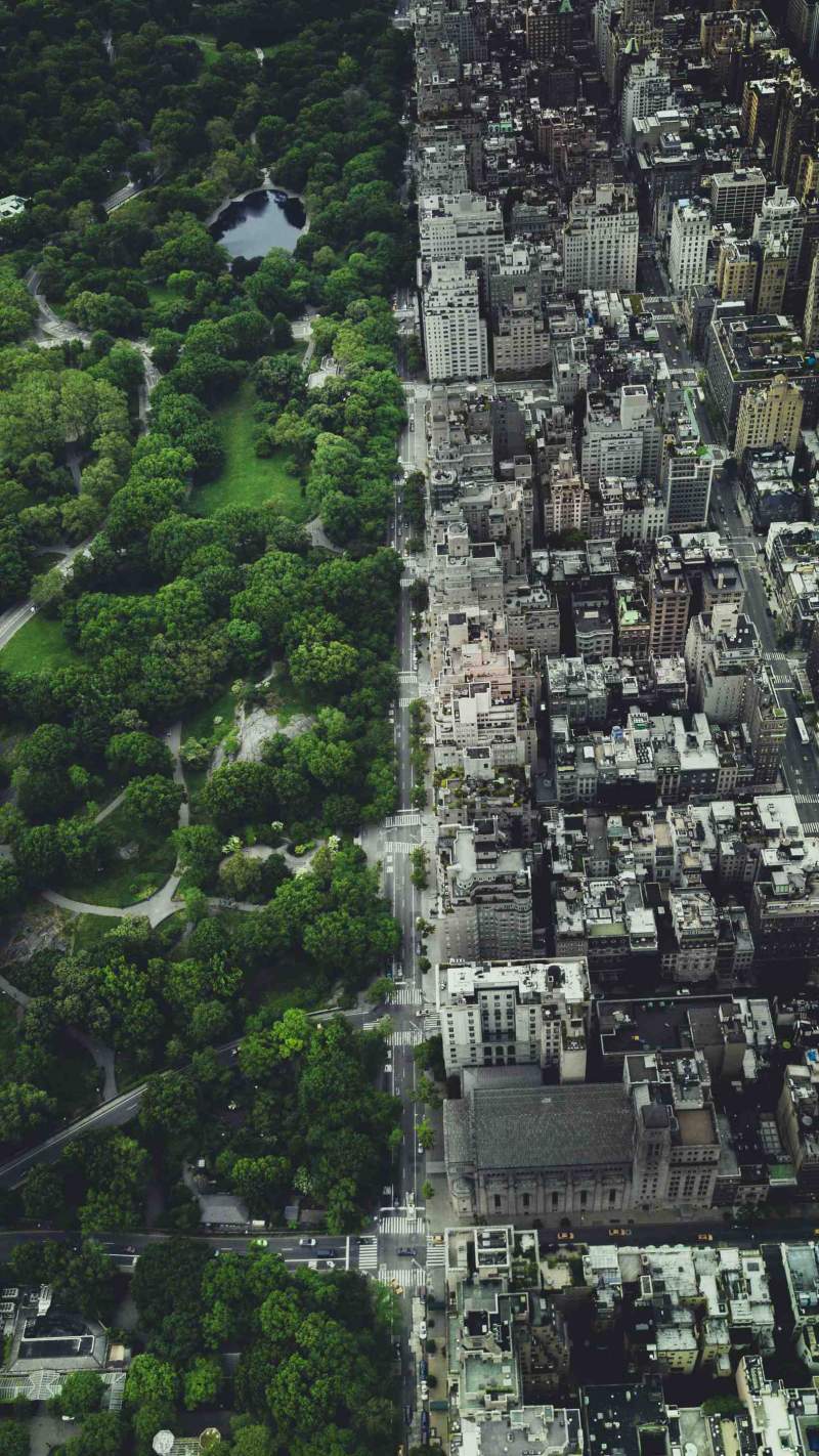 800x1422 NYC Central Park IPhone Wallpaper Wallpaper : iPhone Wallpaper
