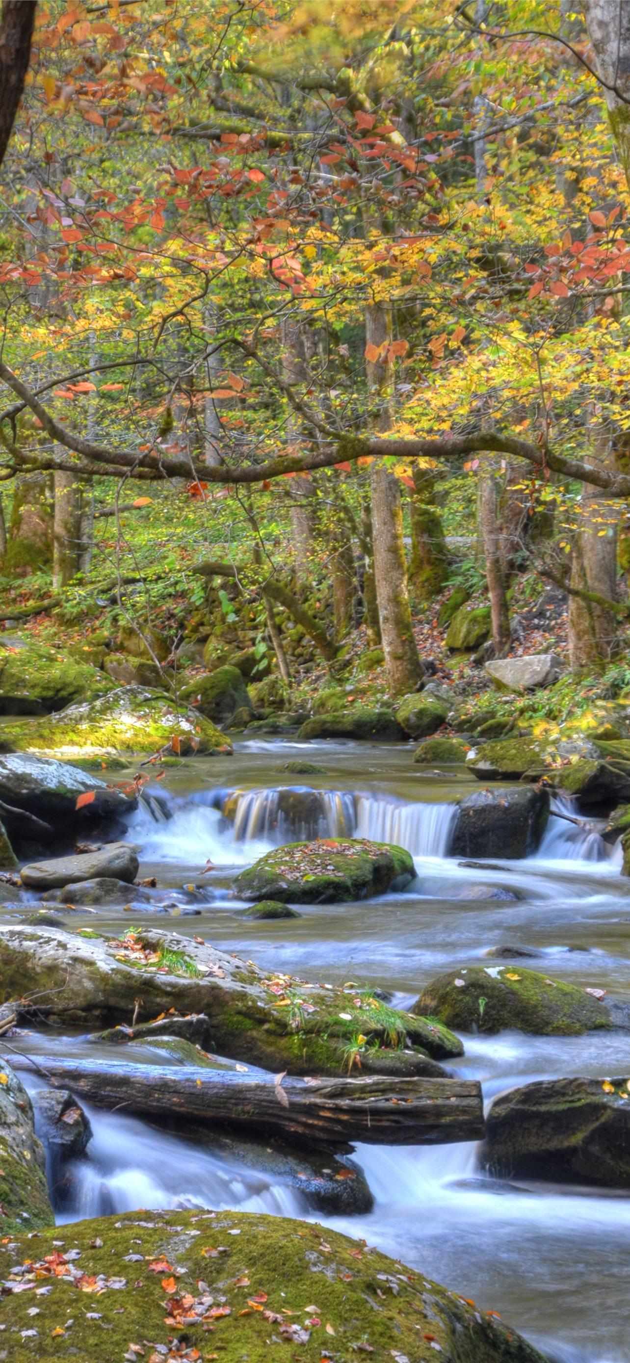 1284x2778 great smoky mountains national park iPhone Wallpaper Free Download