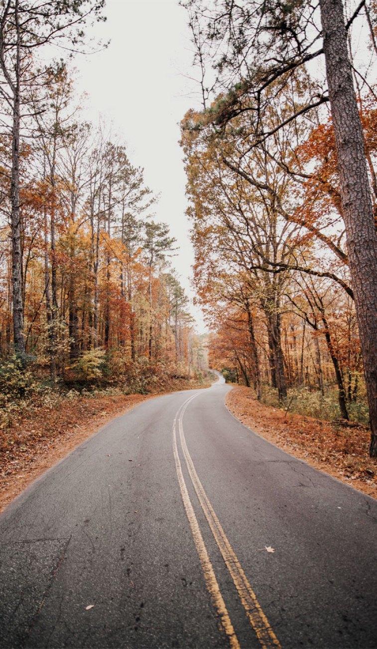 757x1304 Beautiful autumn road Wallpaper