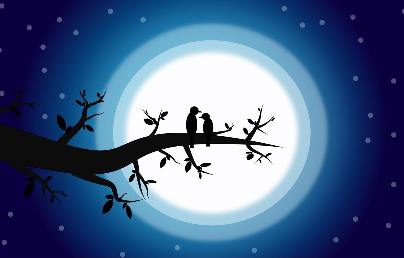 1332x850 Wallpaper love, birds, night, the moon, pair, novel, romantic, mystical image for desktop, section рендеринг