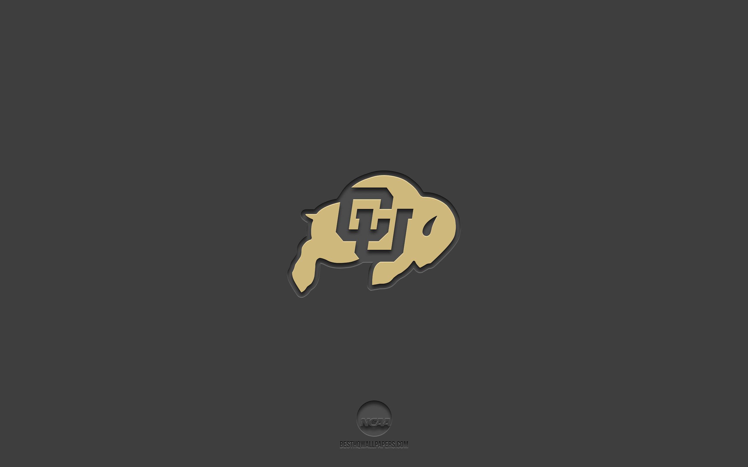2560x1600 Download wallpaper Colorado Buffaloes, dark background, American football team, Colorado Buffaloes emblem, NCAA, Colorado, USA, American football, Colorado Buffaloes logo for desktop with resolution 2560x1600. High Quality HD picture wallpaper