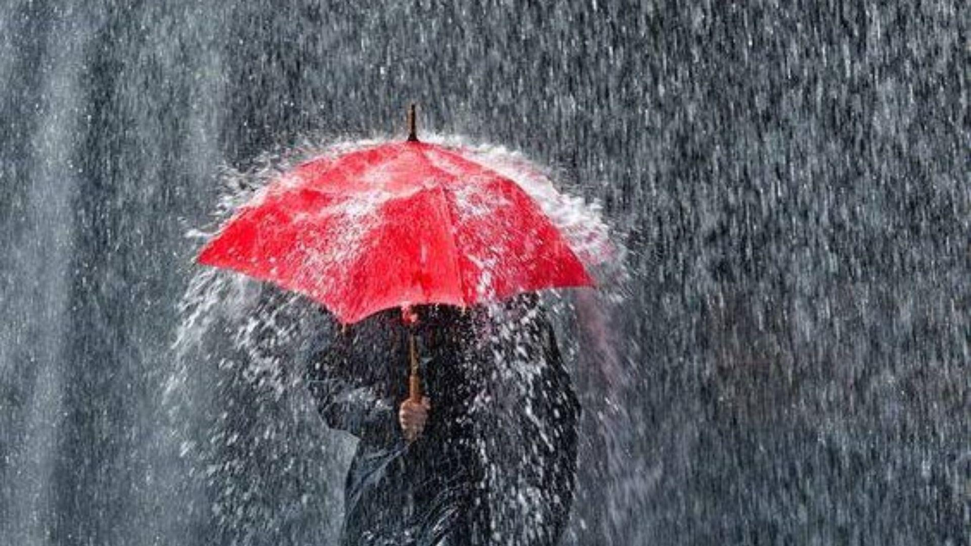 1920x1080 Rain Wallpaper Background, Image & Photo