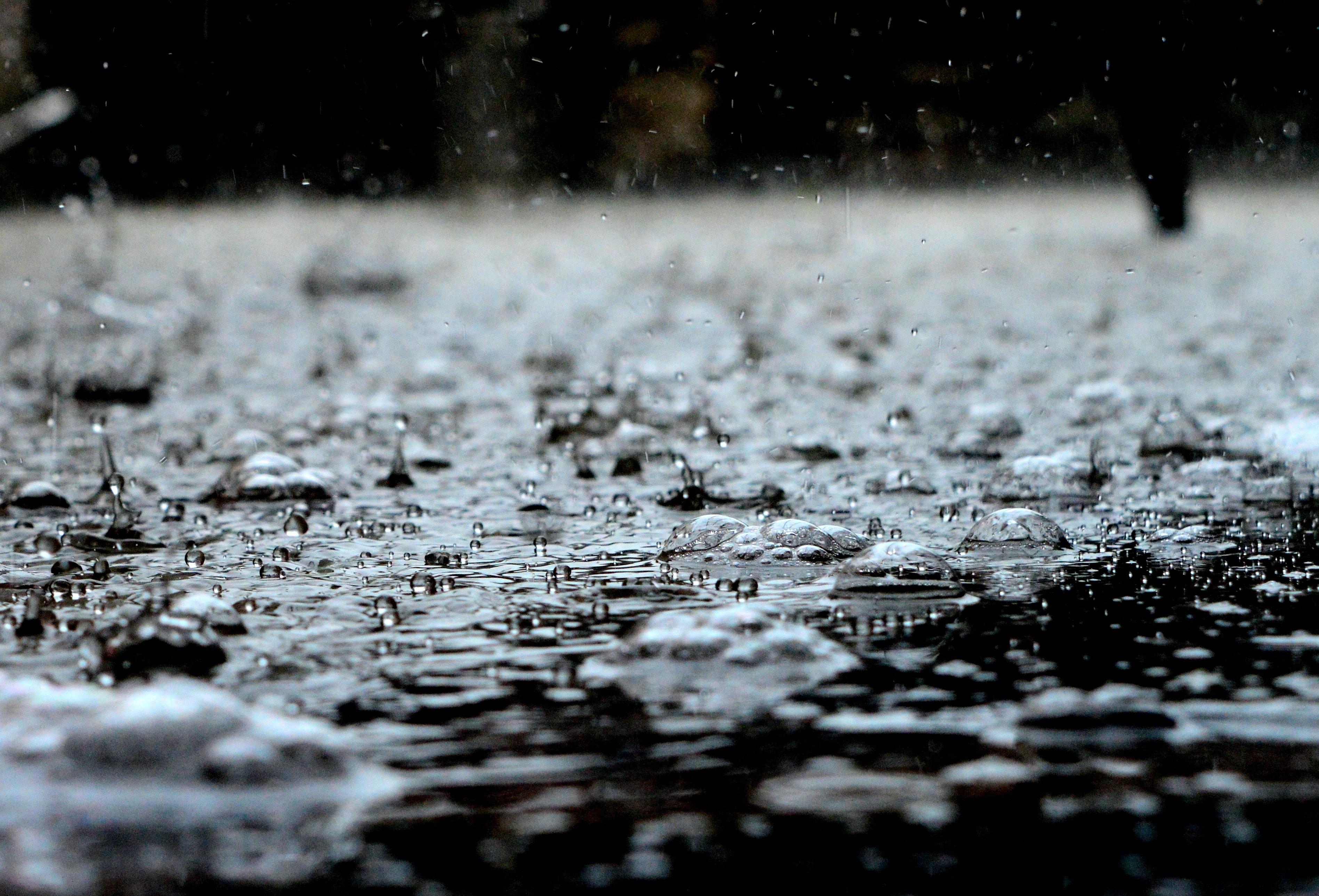 3794x2578 Best Raindrops Photo · 100% Free Downloads