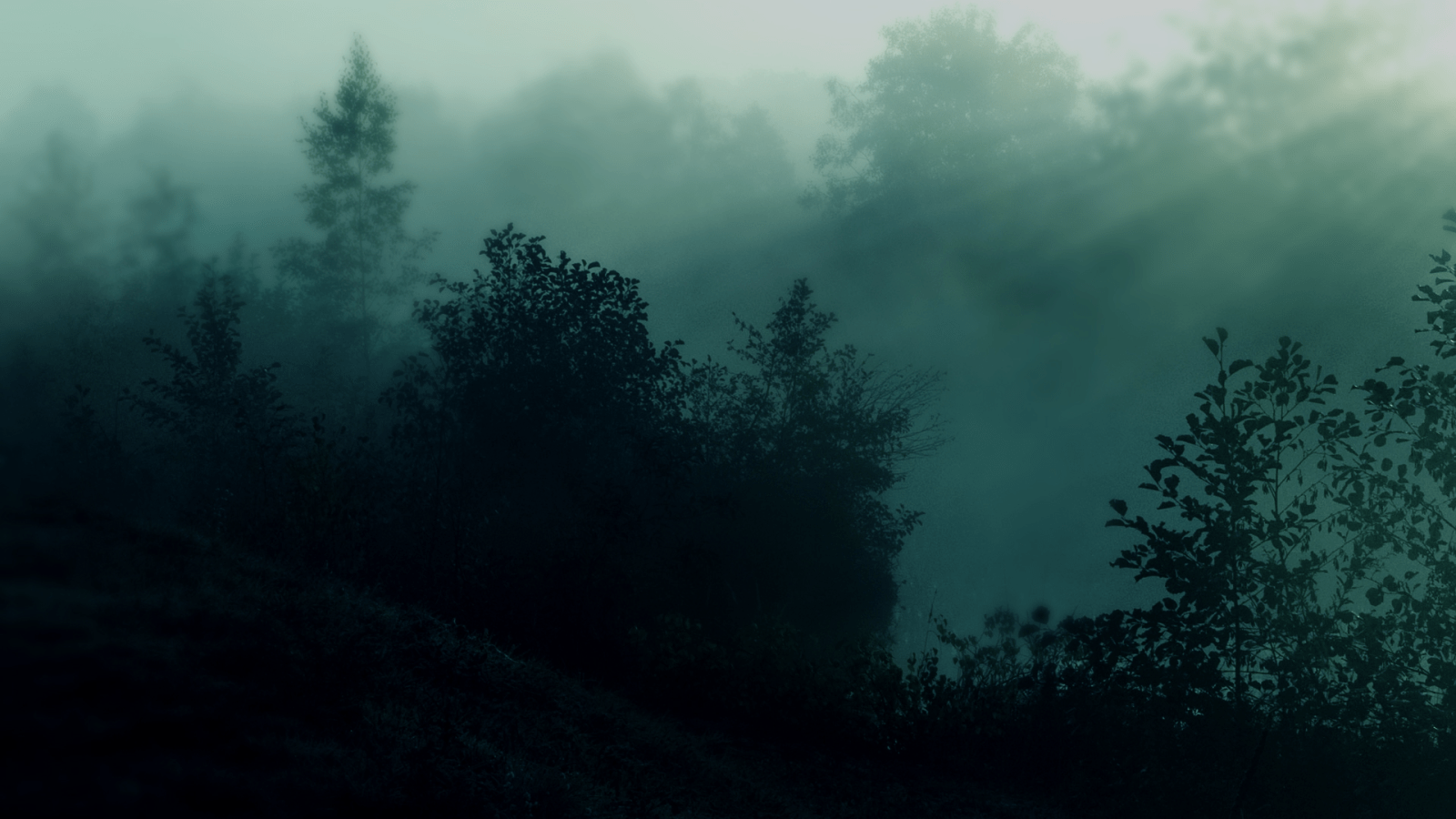 1600x900 dark forest