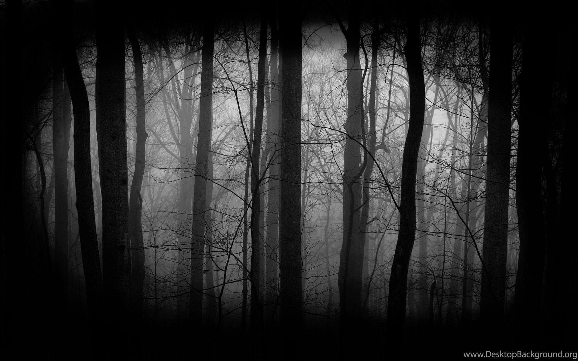 Dark Forest Computer Wallpapers - Top Free Dark Forest Computer
