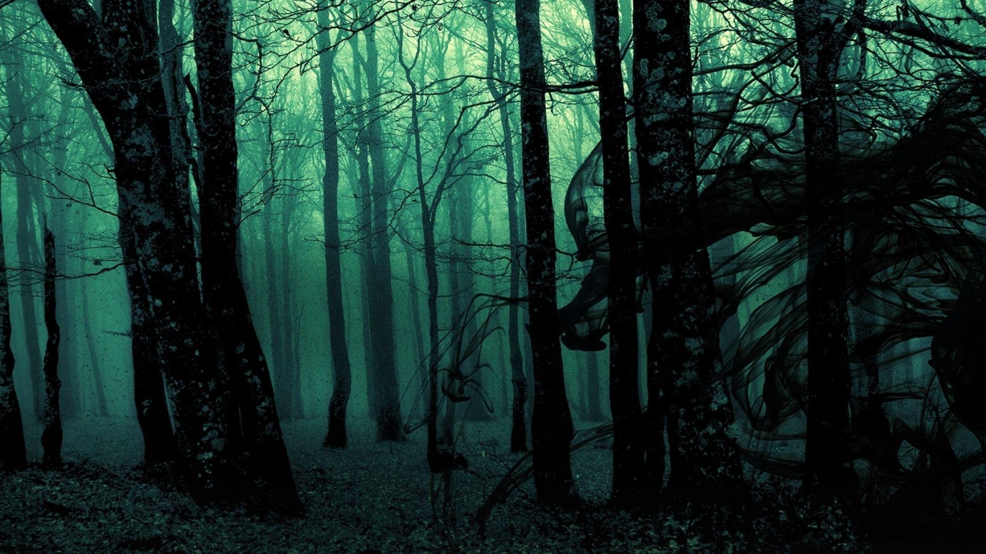 1920x1080 Dark Forest Wallpaper Best Dark Forest Background Download [ 35 + HD ]