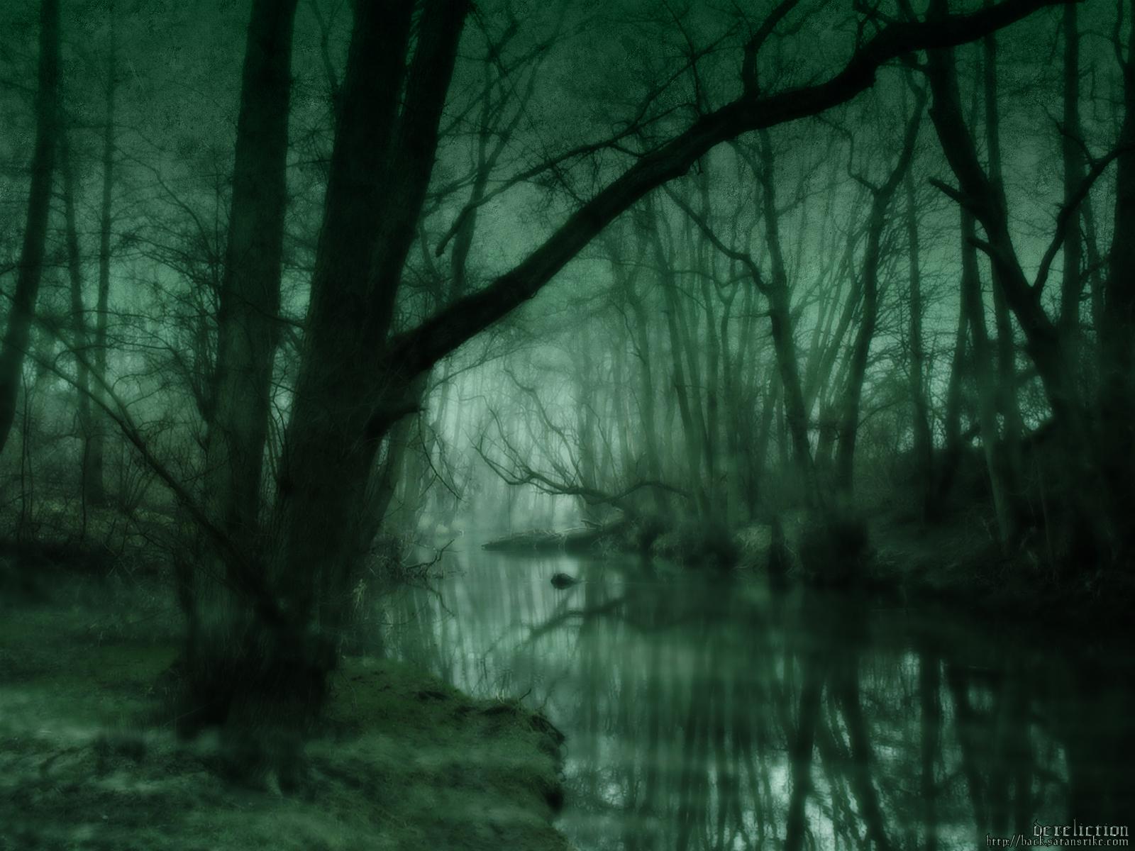 1600x1200 Dark Forest Wallpaper and Background Imagex1200