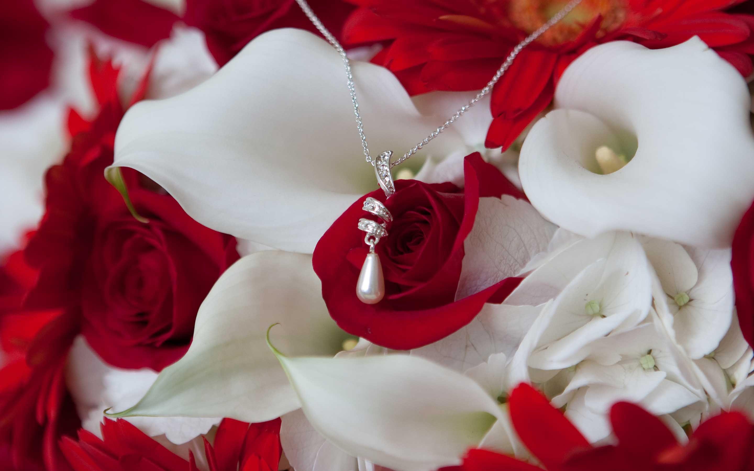 2880x1800 Red And White Rose Wallpaper , free download, (38)-