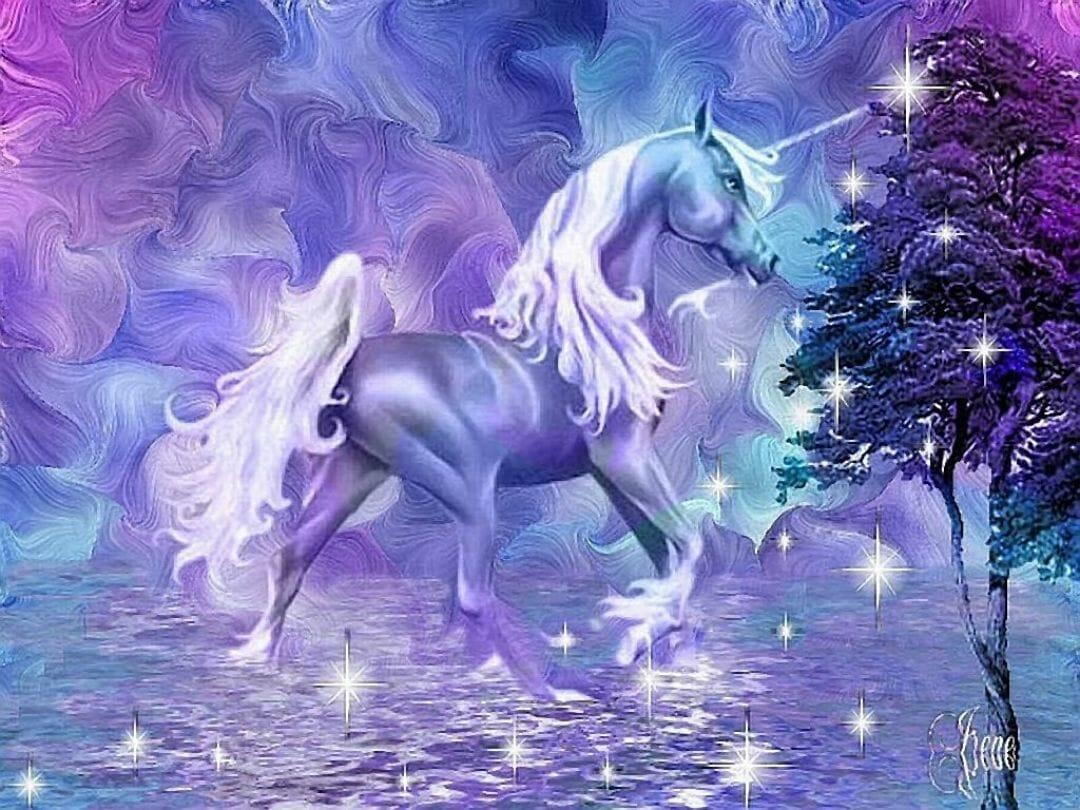 1080x810 Musical Kostüme. horses unicorns Pegasus (2022)