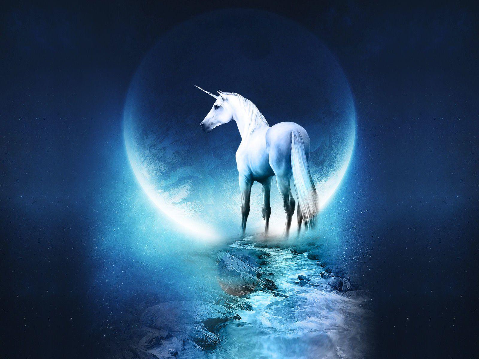 1600x1200 Unicorn Desktop Wallpaper