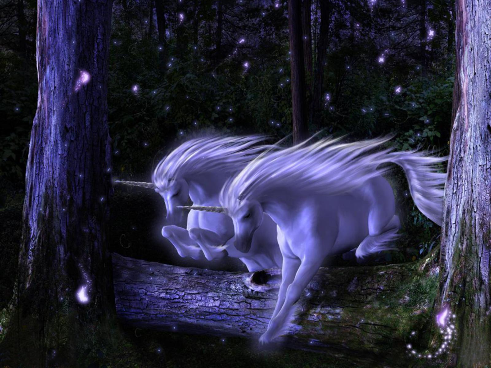 1600x1200 Purple Unicorns Wallpaper and Background Imagex1200