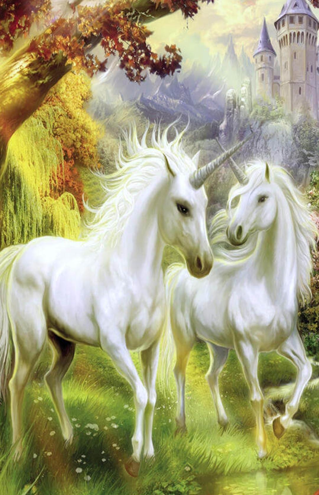 1080x1677 Unicorn HD Wallpaper for Android