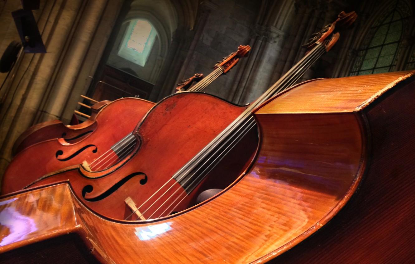 Double Bass Wallpapers - Top Free Double Bass Backgrounds - WallpaperAccess