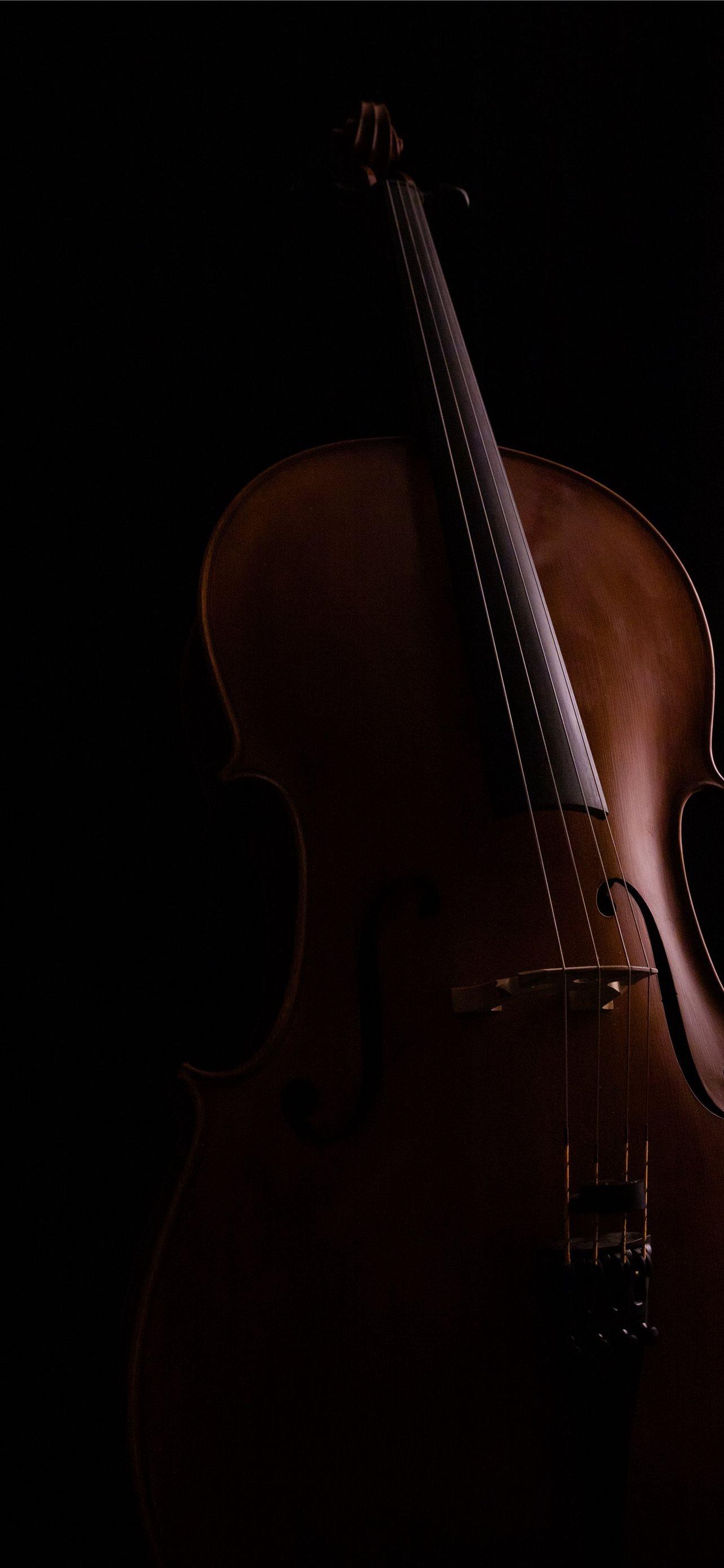1284x2778 double bass iPhone Wallpaper Free Download